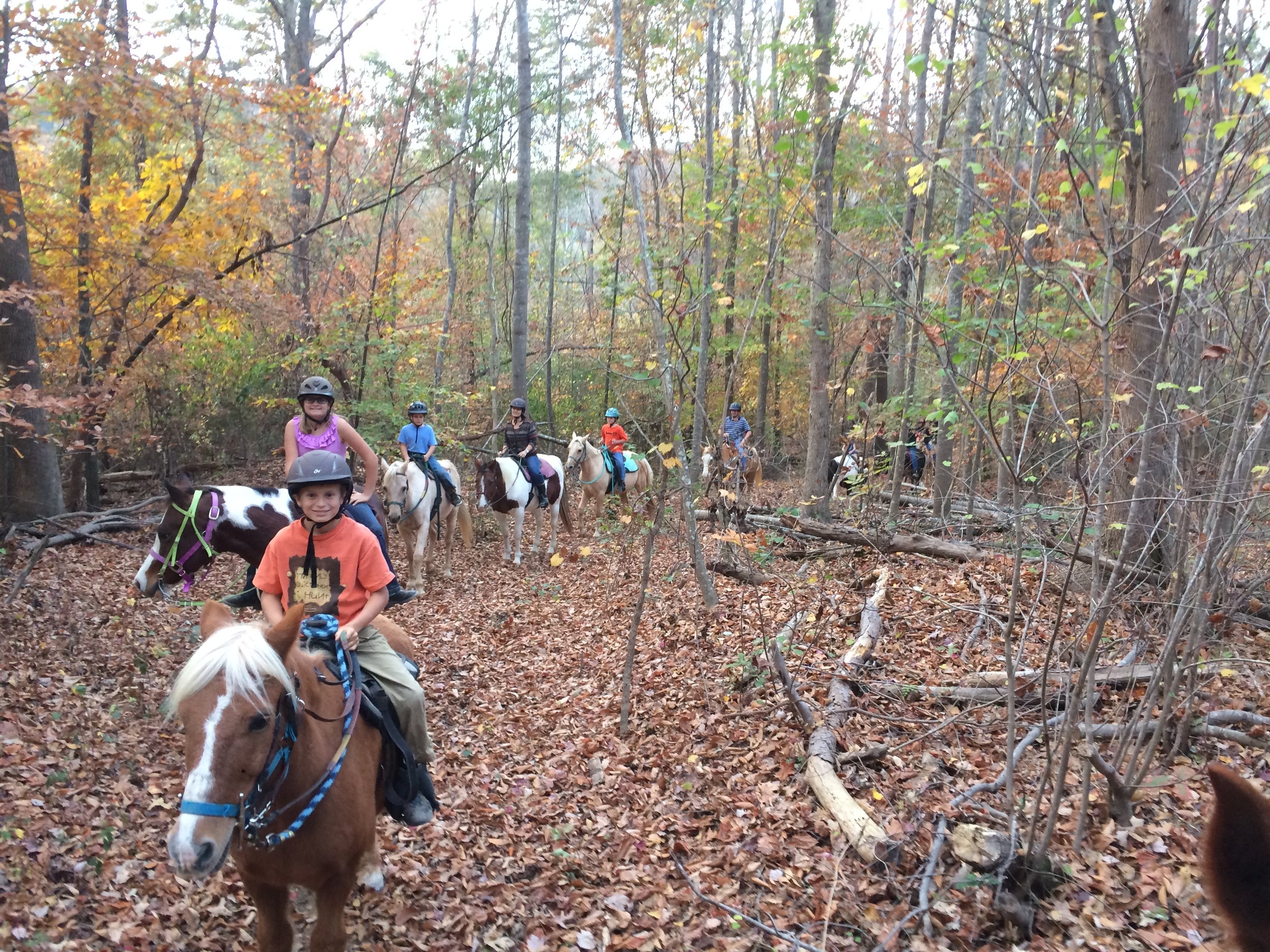 Trail Rides