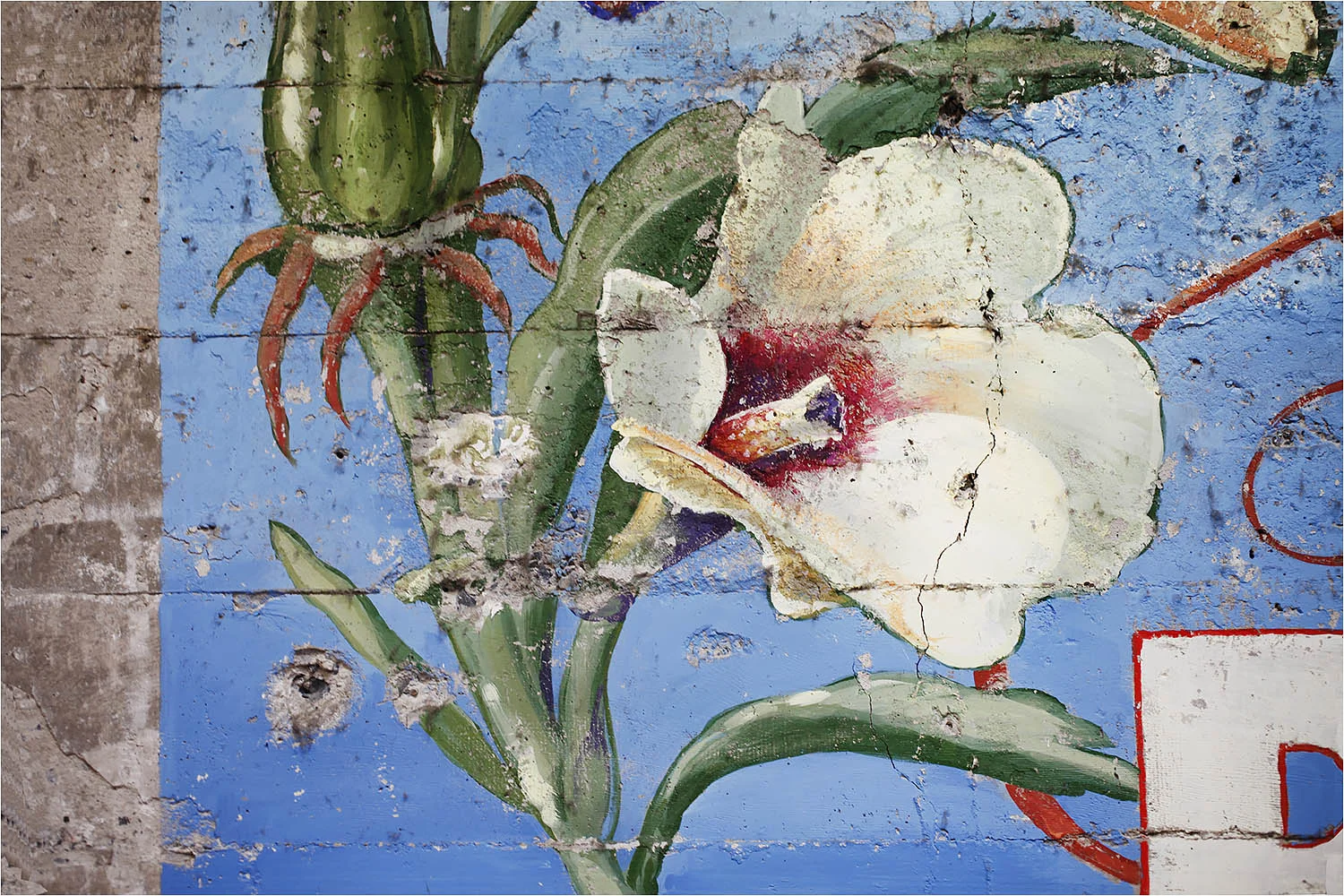Mural painting on cement, (detail) based on an antique produce label. The mural was designed in collaboration with Brenda Buenviaje. This image detail depicts an Okra flower. 