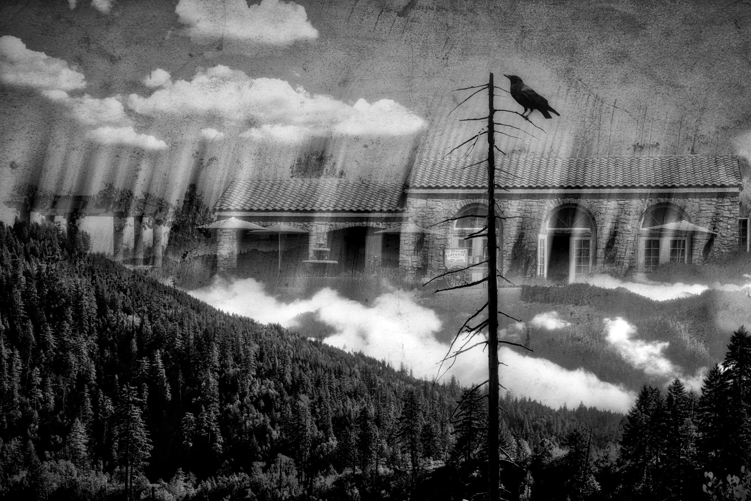 Surreal_08.jpg