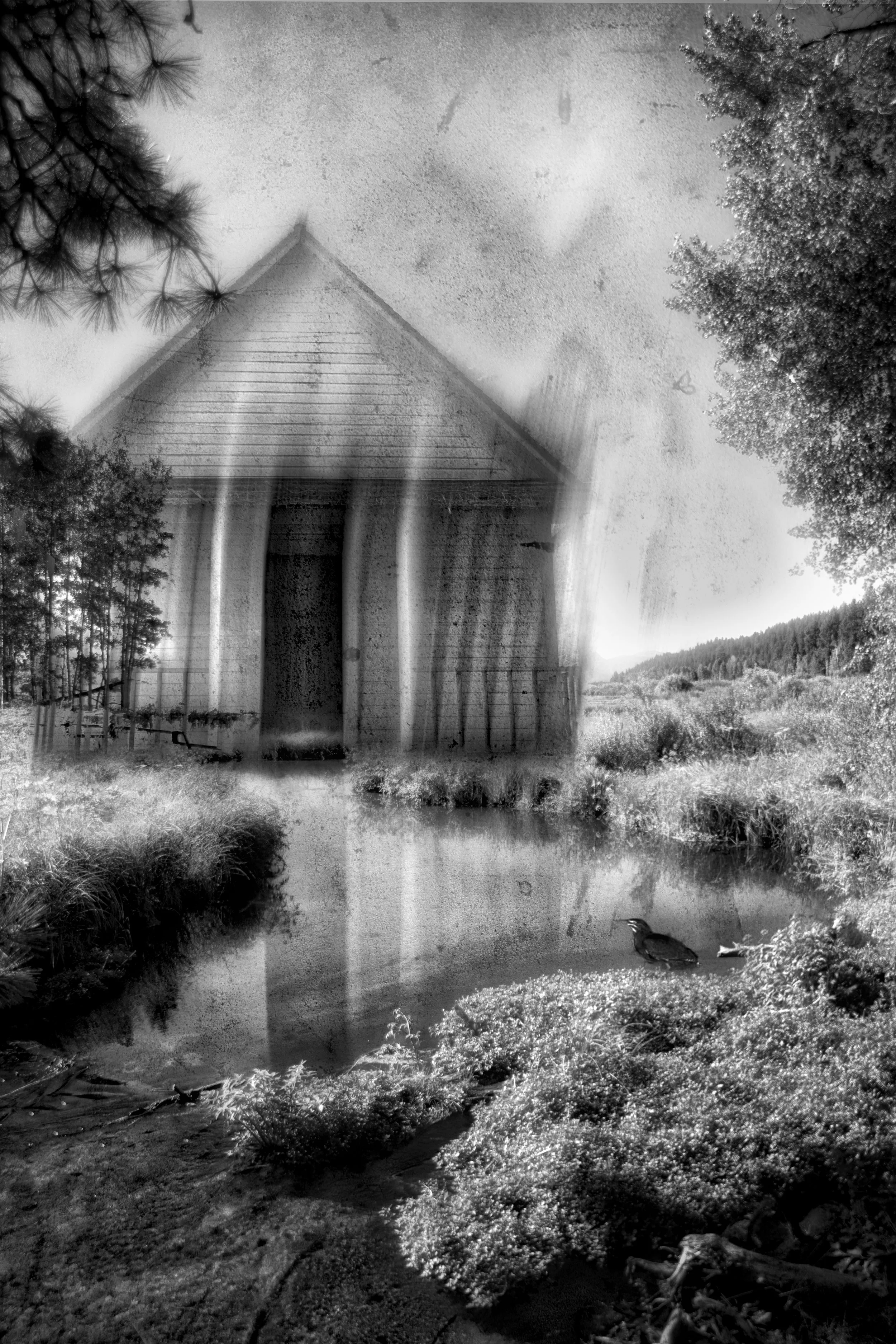 Surreal_09.jpg