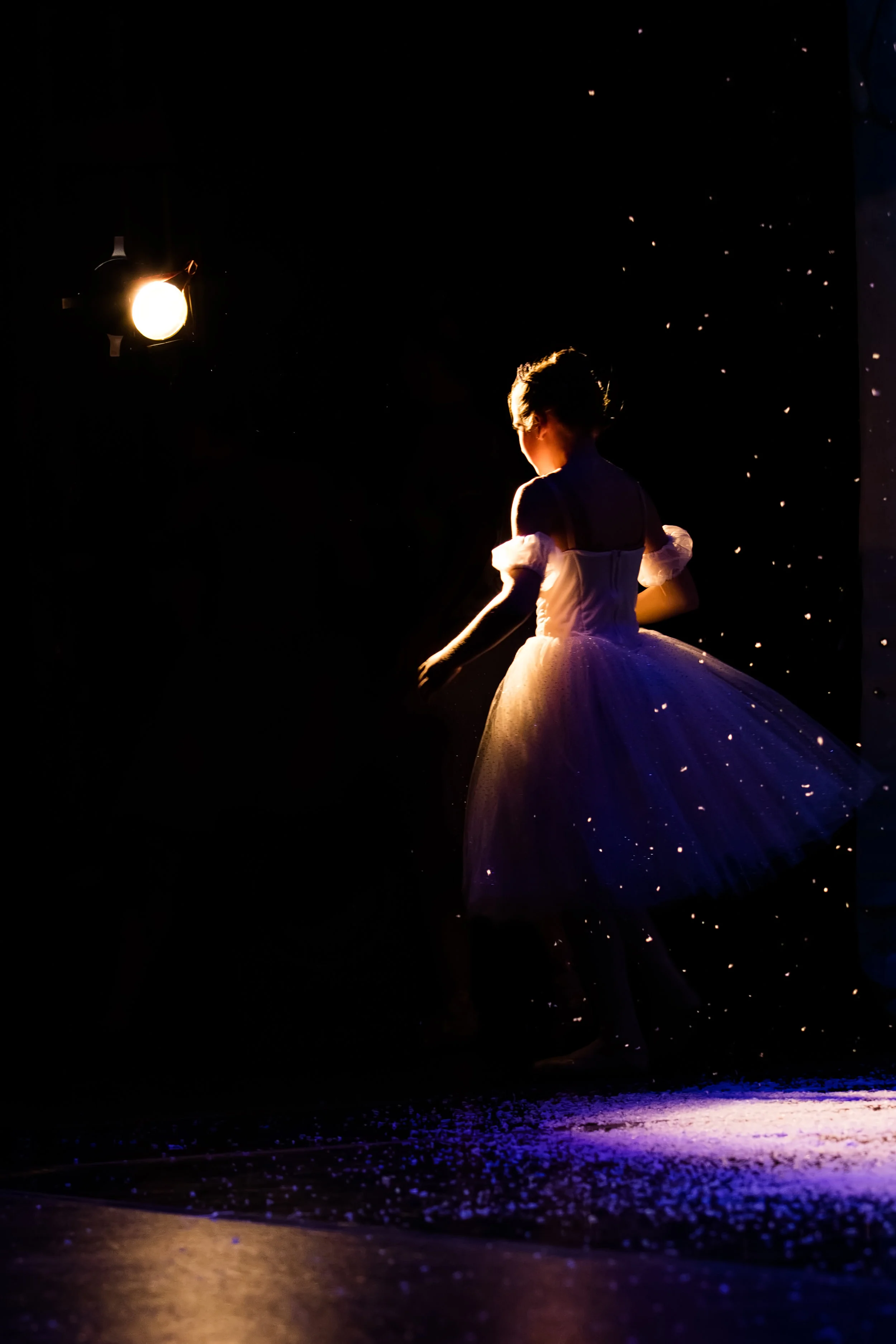 Nutcracker_2015_05.jpg