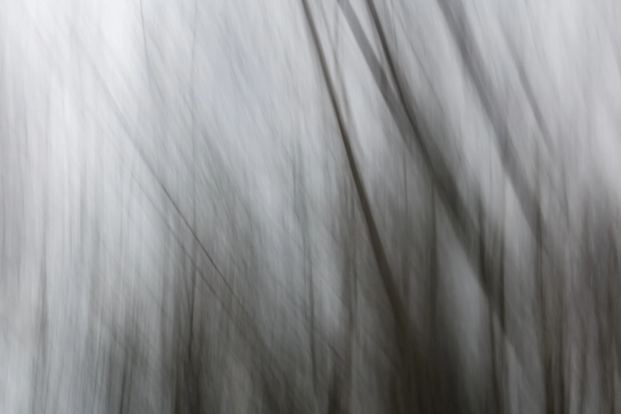 Blurred Travels_2017-26.jpg