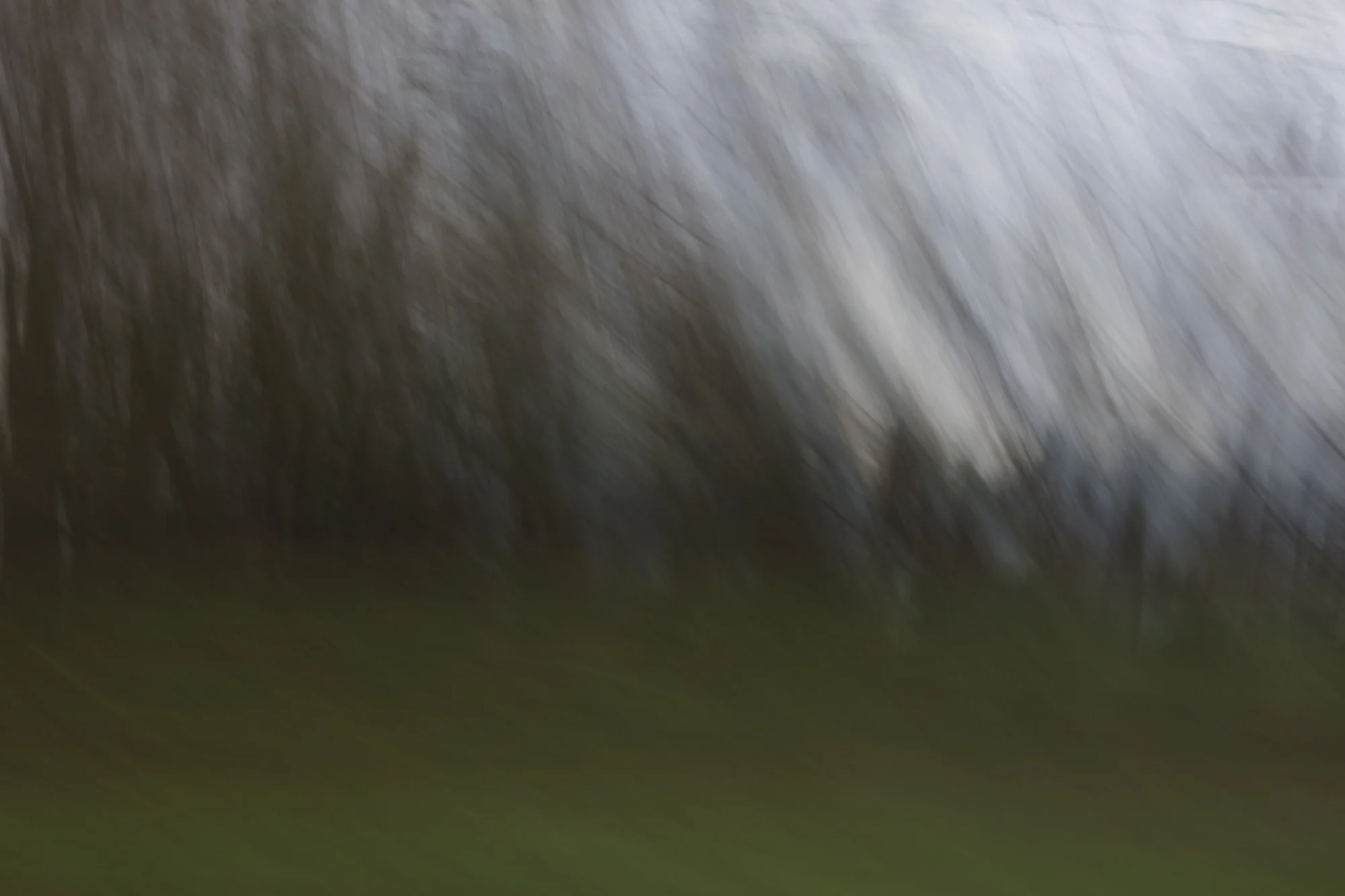 Blurred Travels_2017-28.jpg