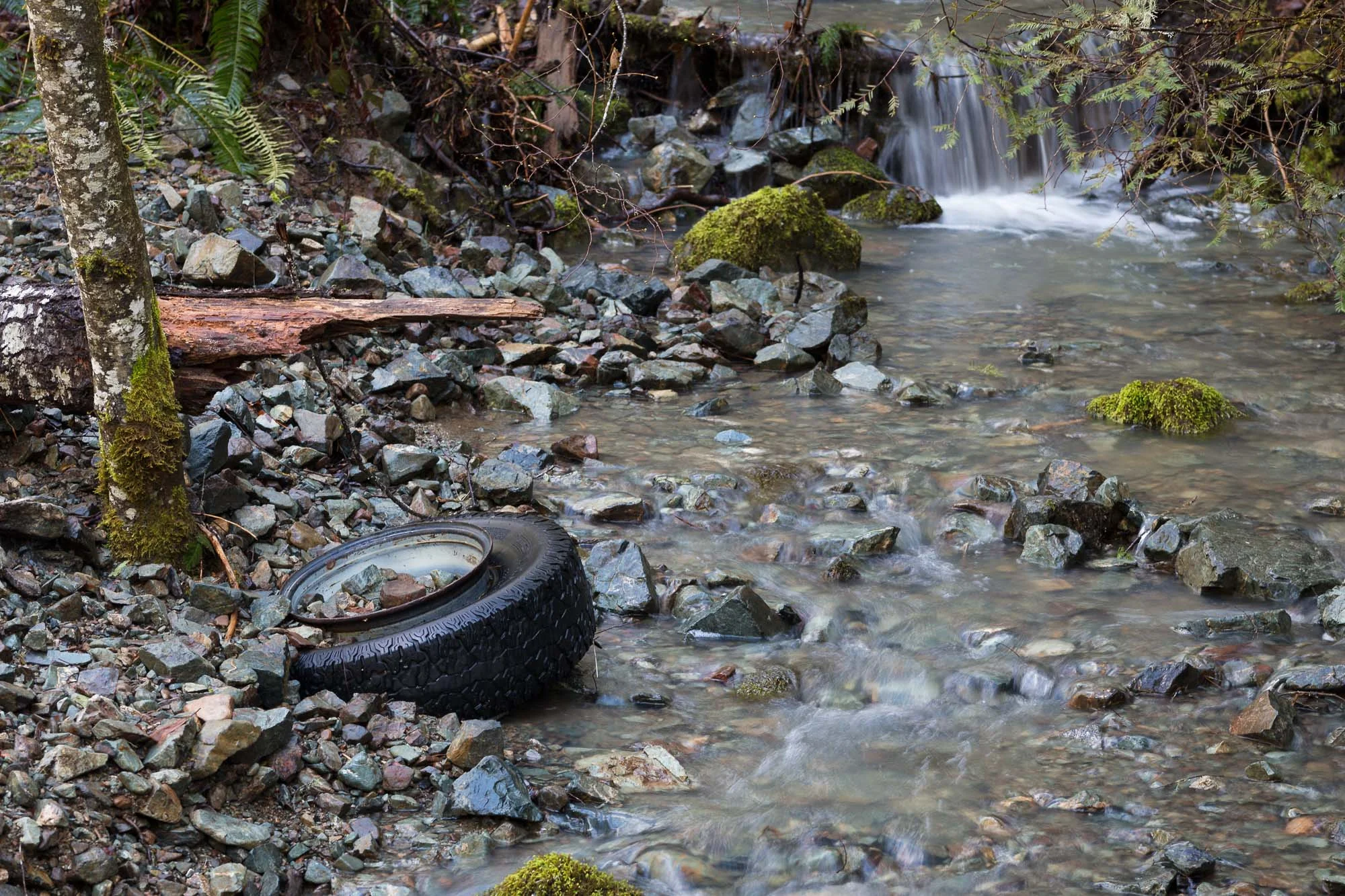 Fall Creek 03.jpg