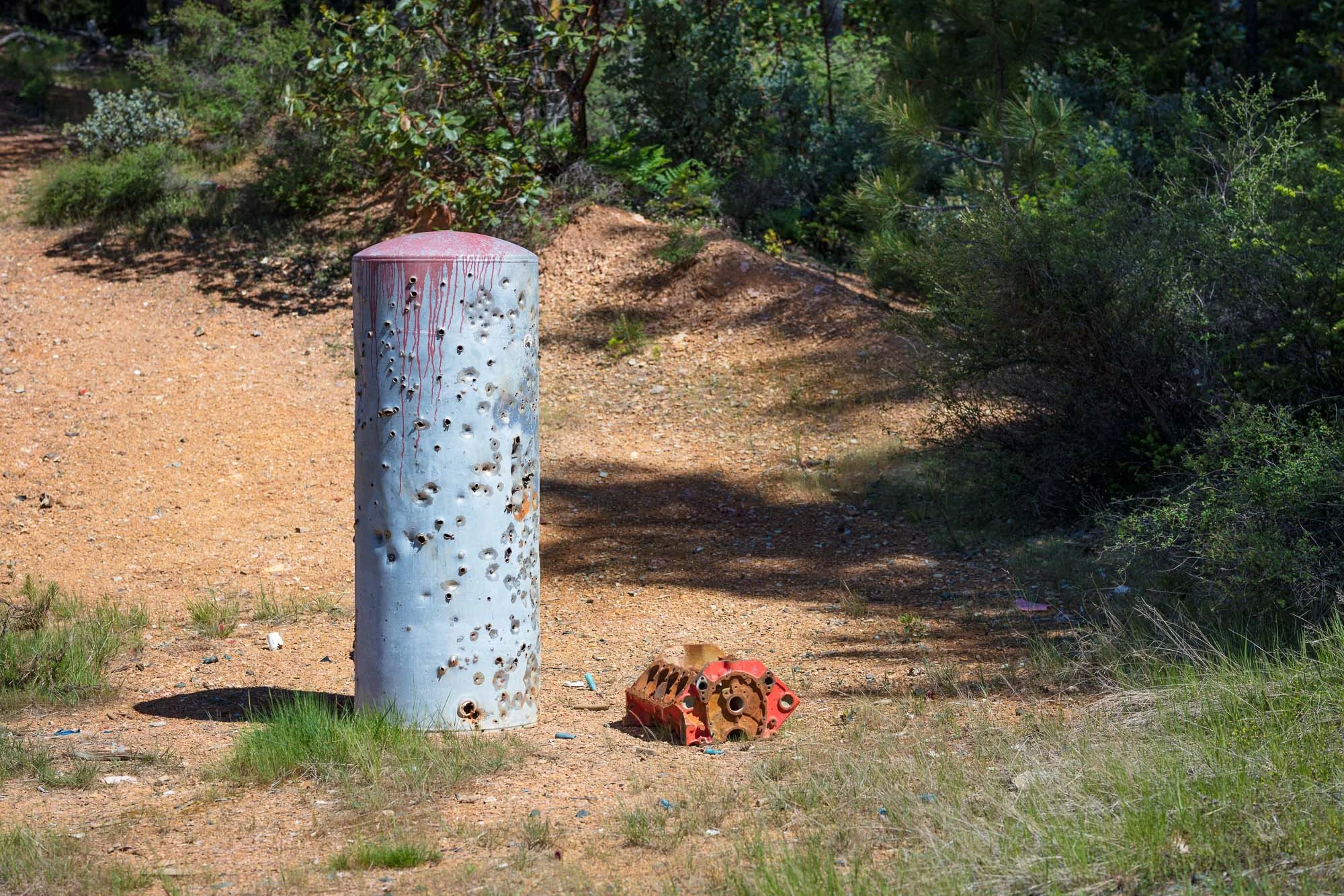 Hog Creek 01.jpg