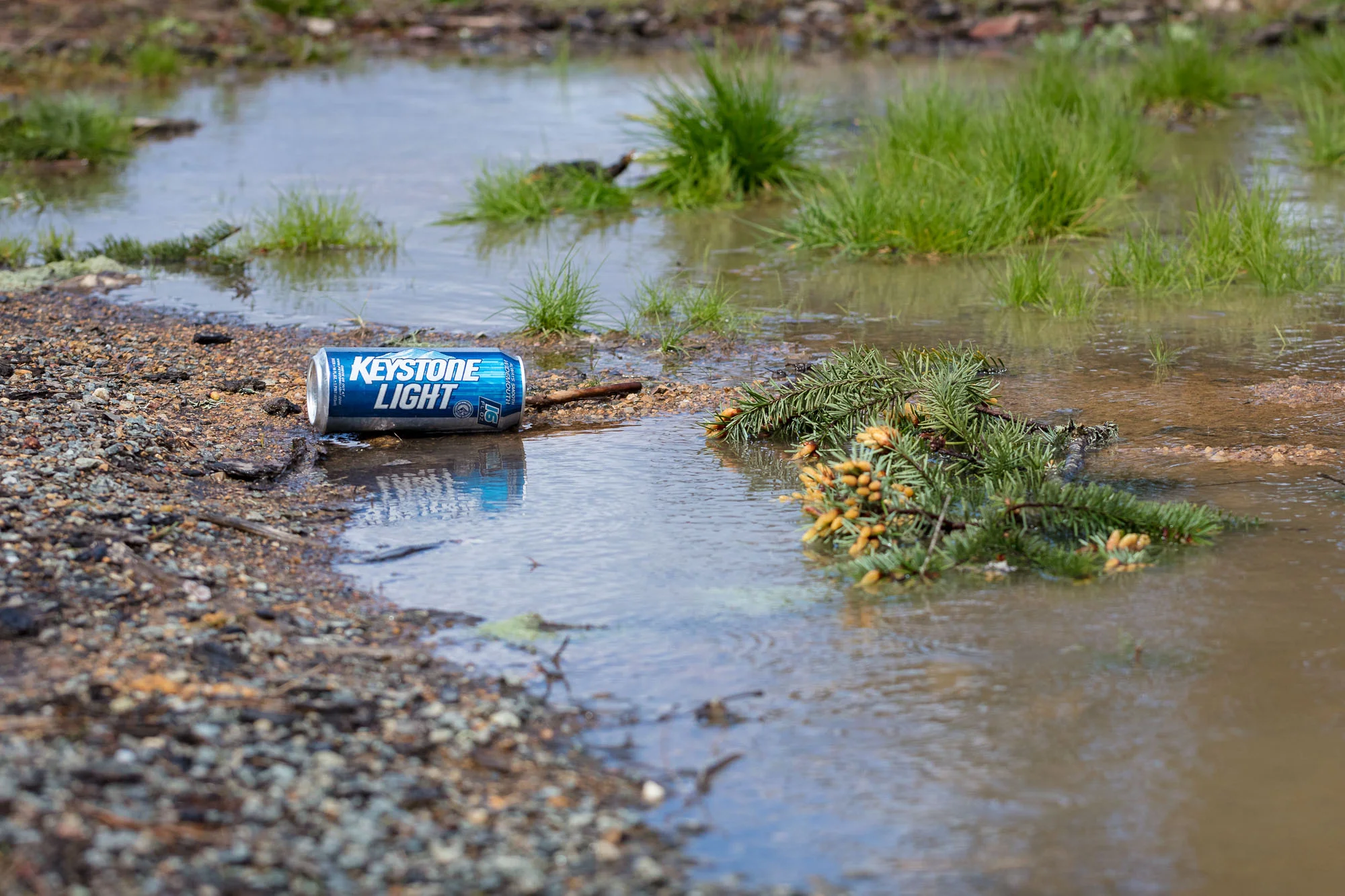 Limpy Creek 01.jpg