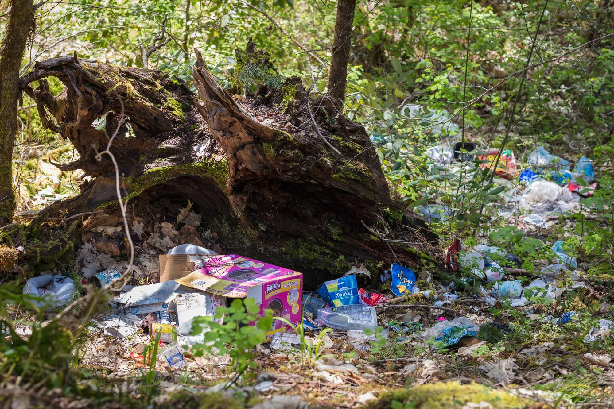Picket Creek 05.jpg