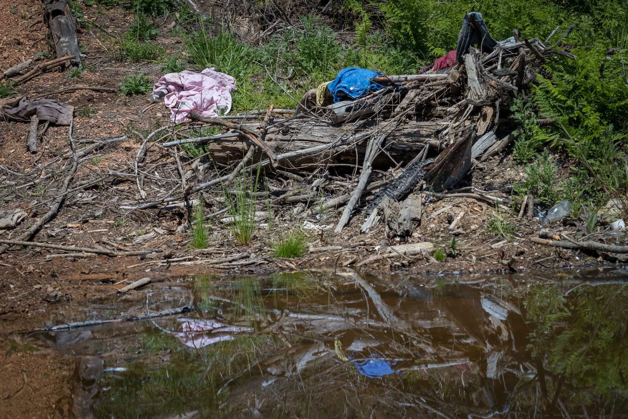 Quartz Creek 02.jpg
