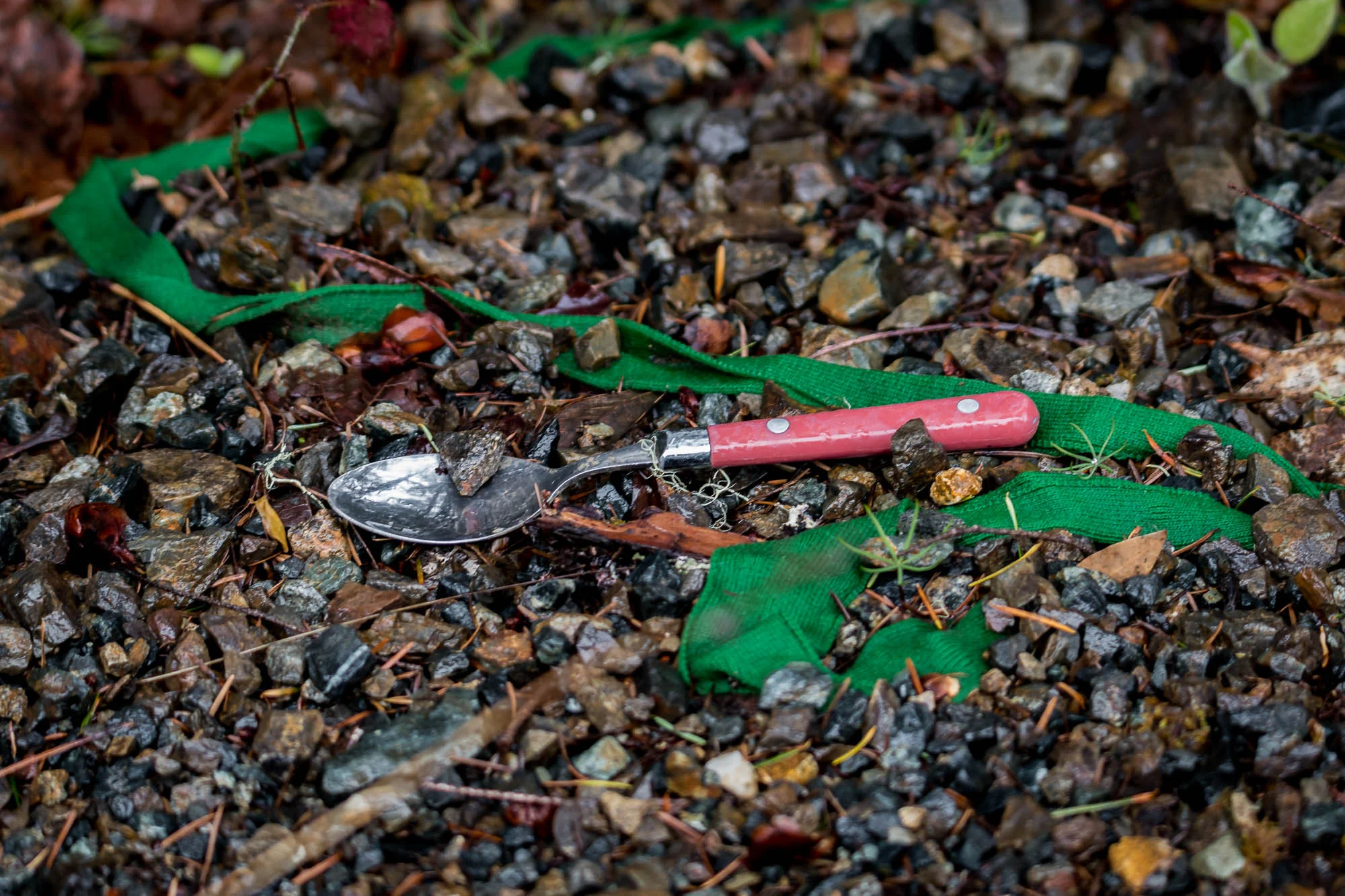 Spencer Creek 01.jpg