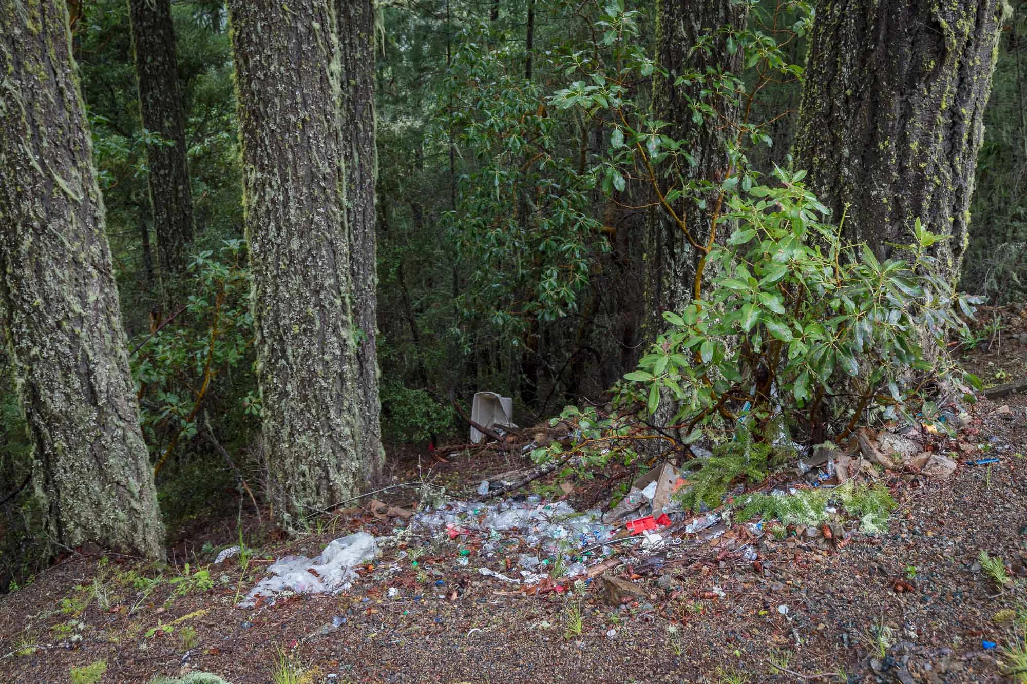 Spencer Creek 05.jpg