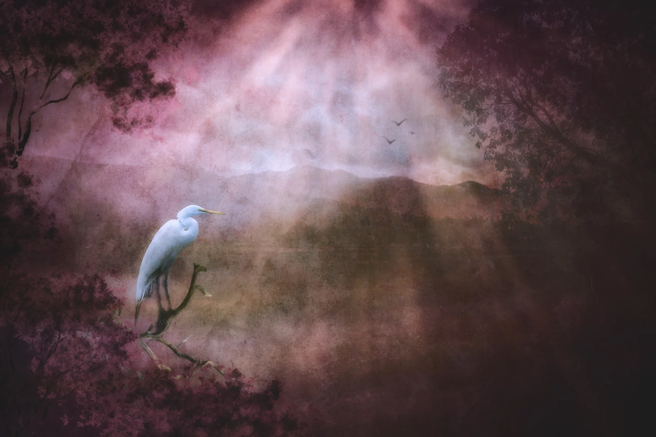 Egret.jpg