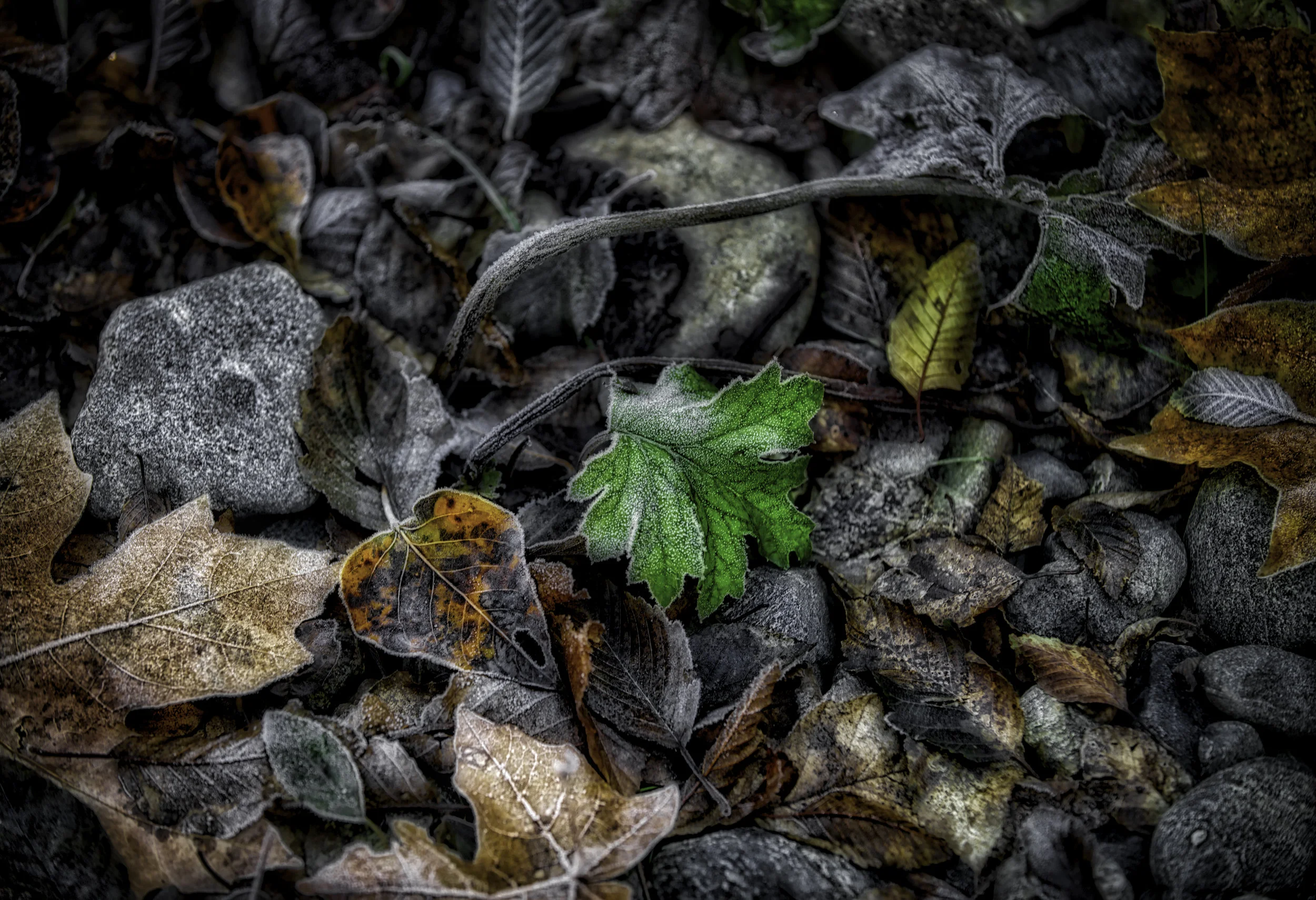 _DSC1671_AuroraHDR_HDR.jpg