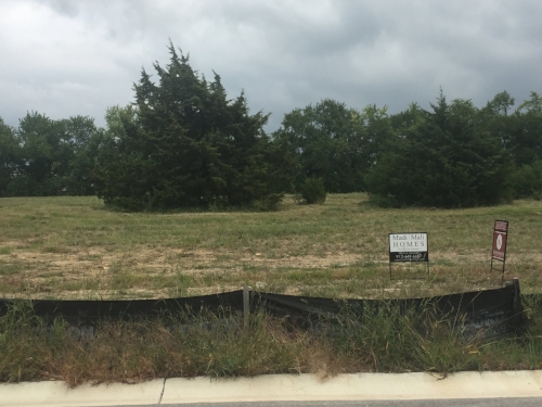 our future home site