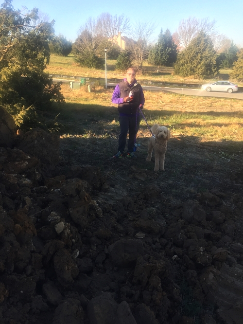 The best supervisors checking in on everything
