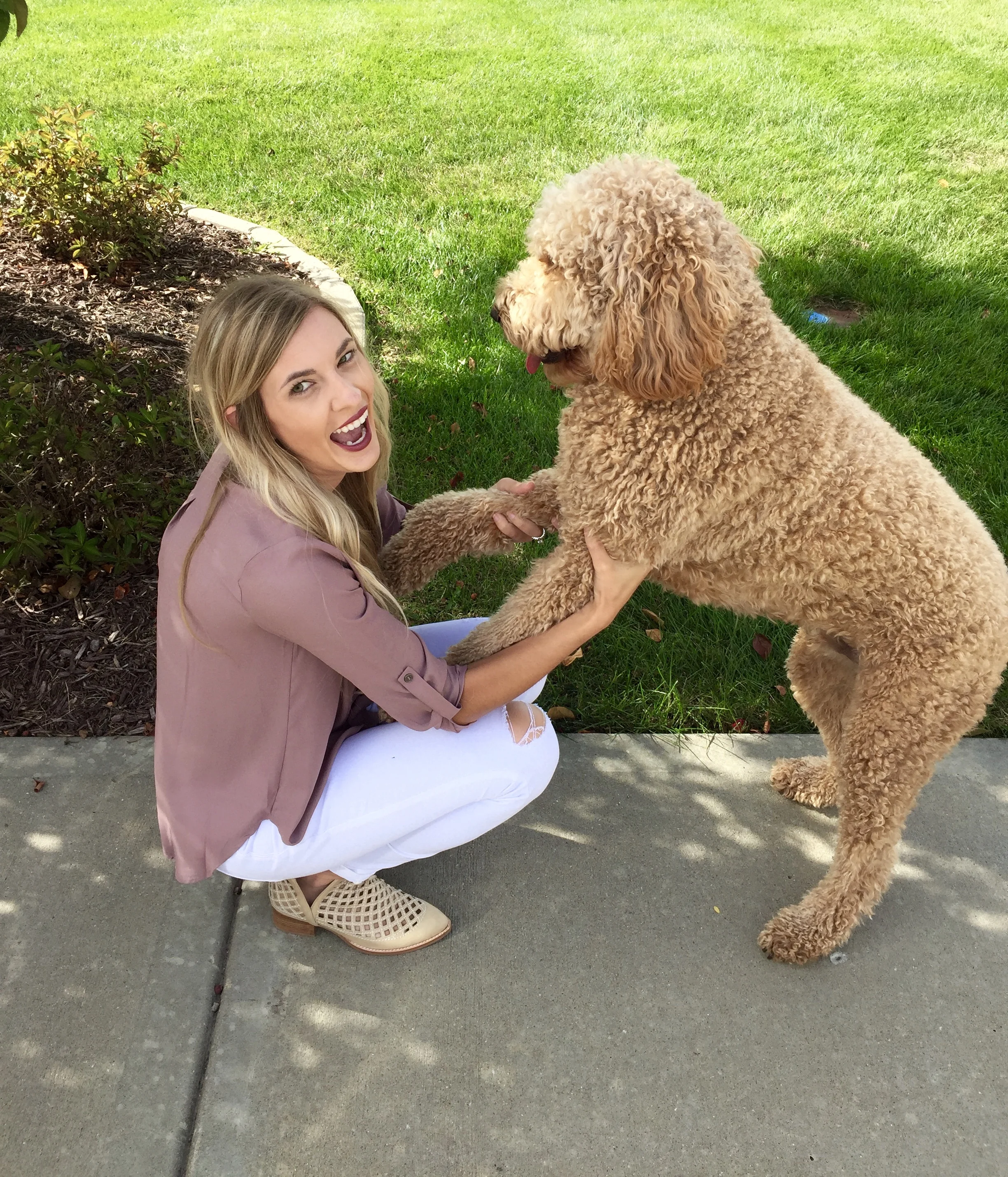 It's not always easy getting a 2 year old giant puppy to cooperate...