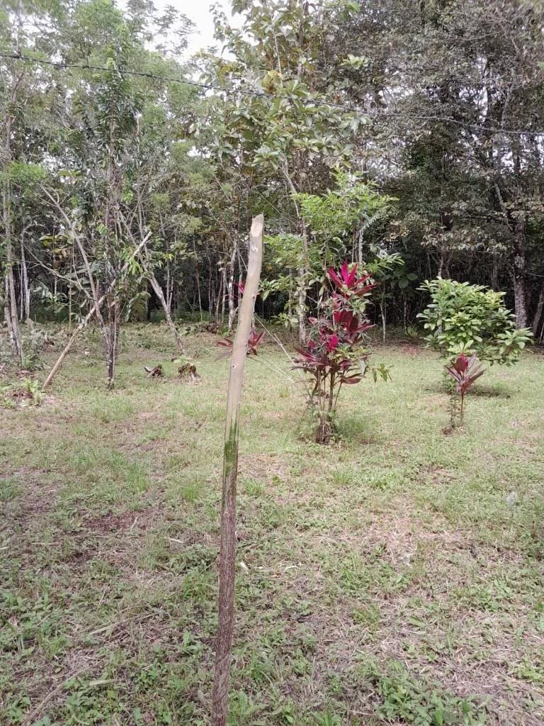 6560da9671c59.jpg