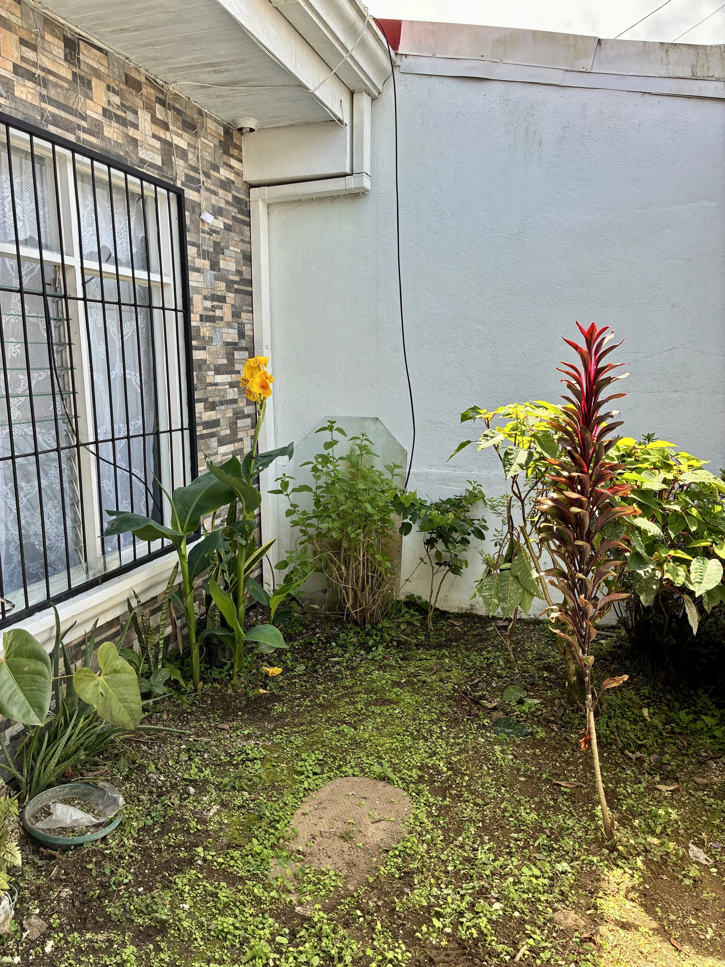 IMG_0187.jpeg