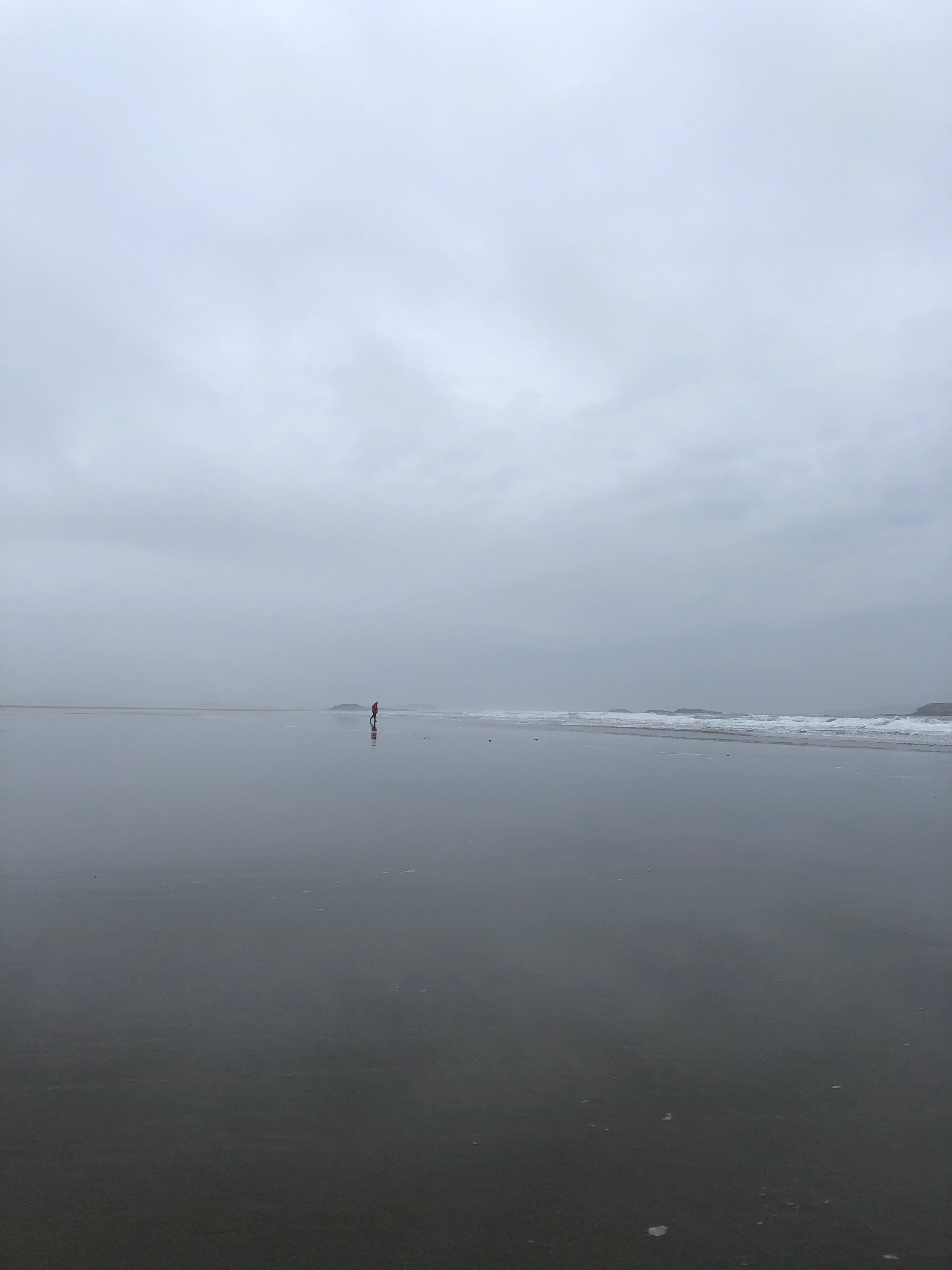 IMG_4945.JPG