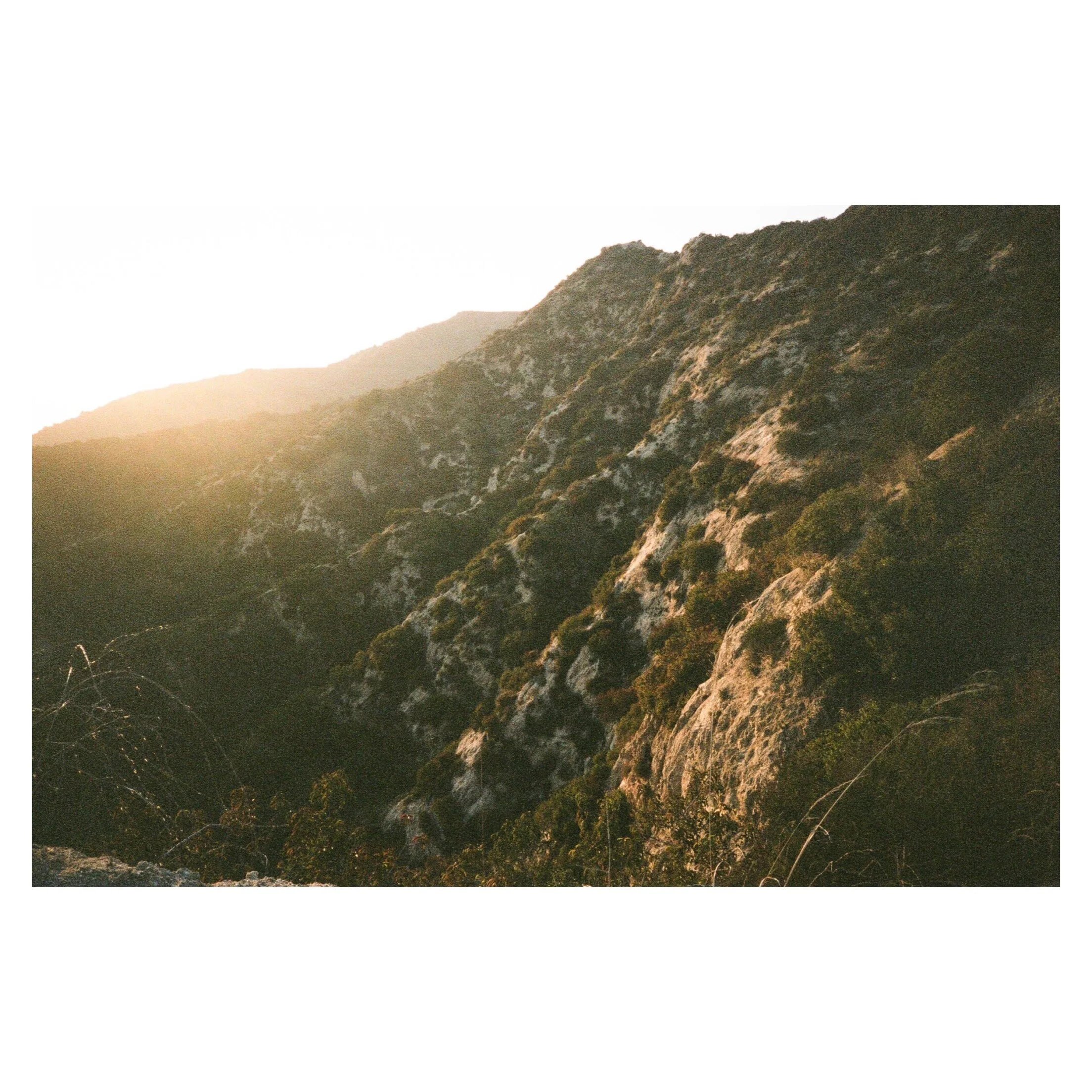 Whitagram-Image 20.JPG