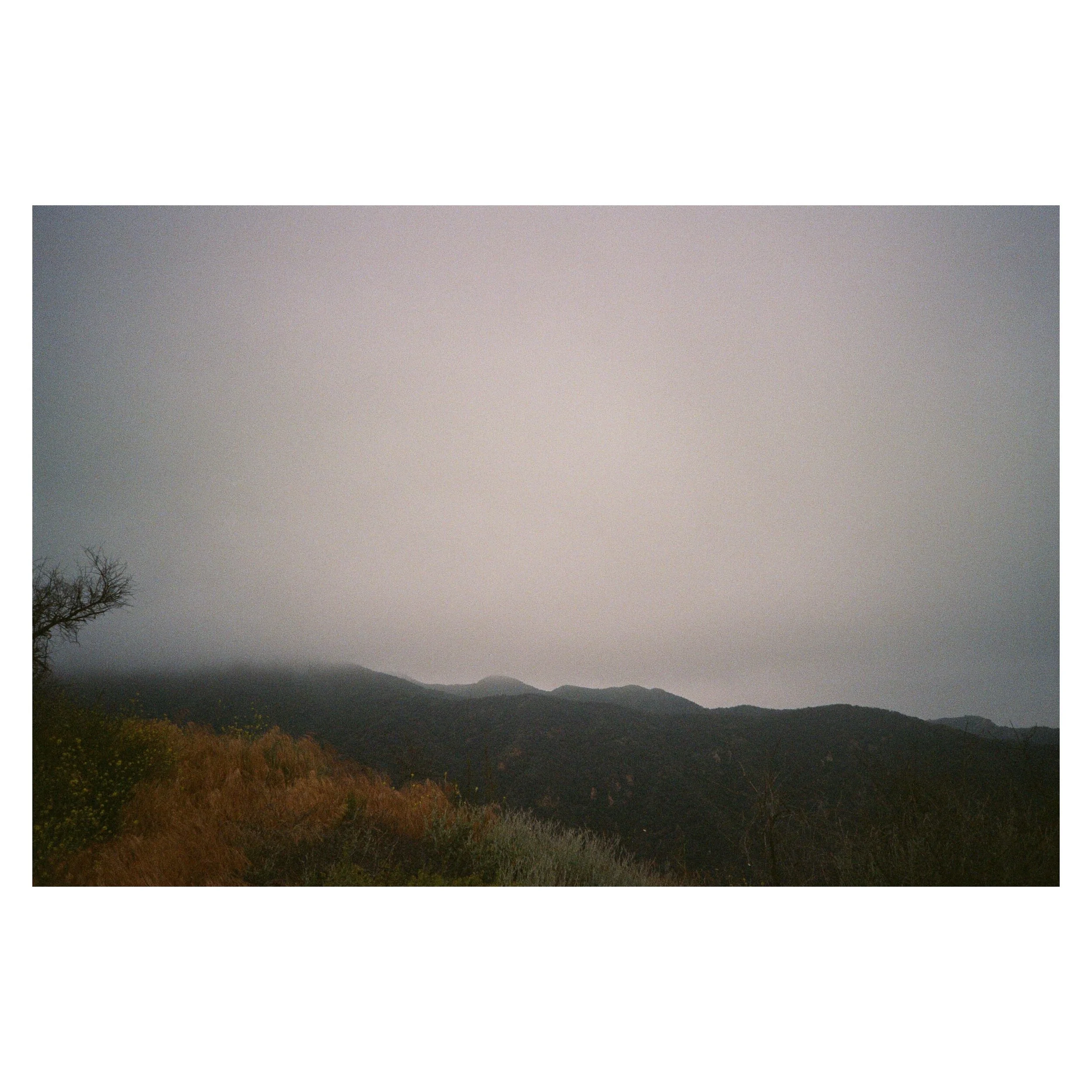 Whitagram-Image 19.JPG