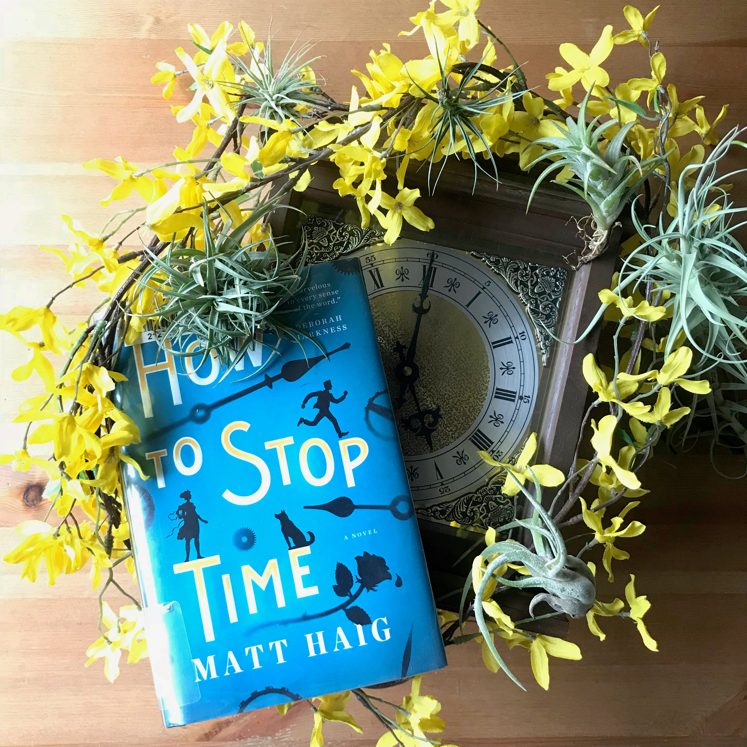 How to Stop Time by Matt Haig