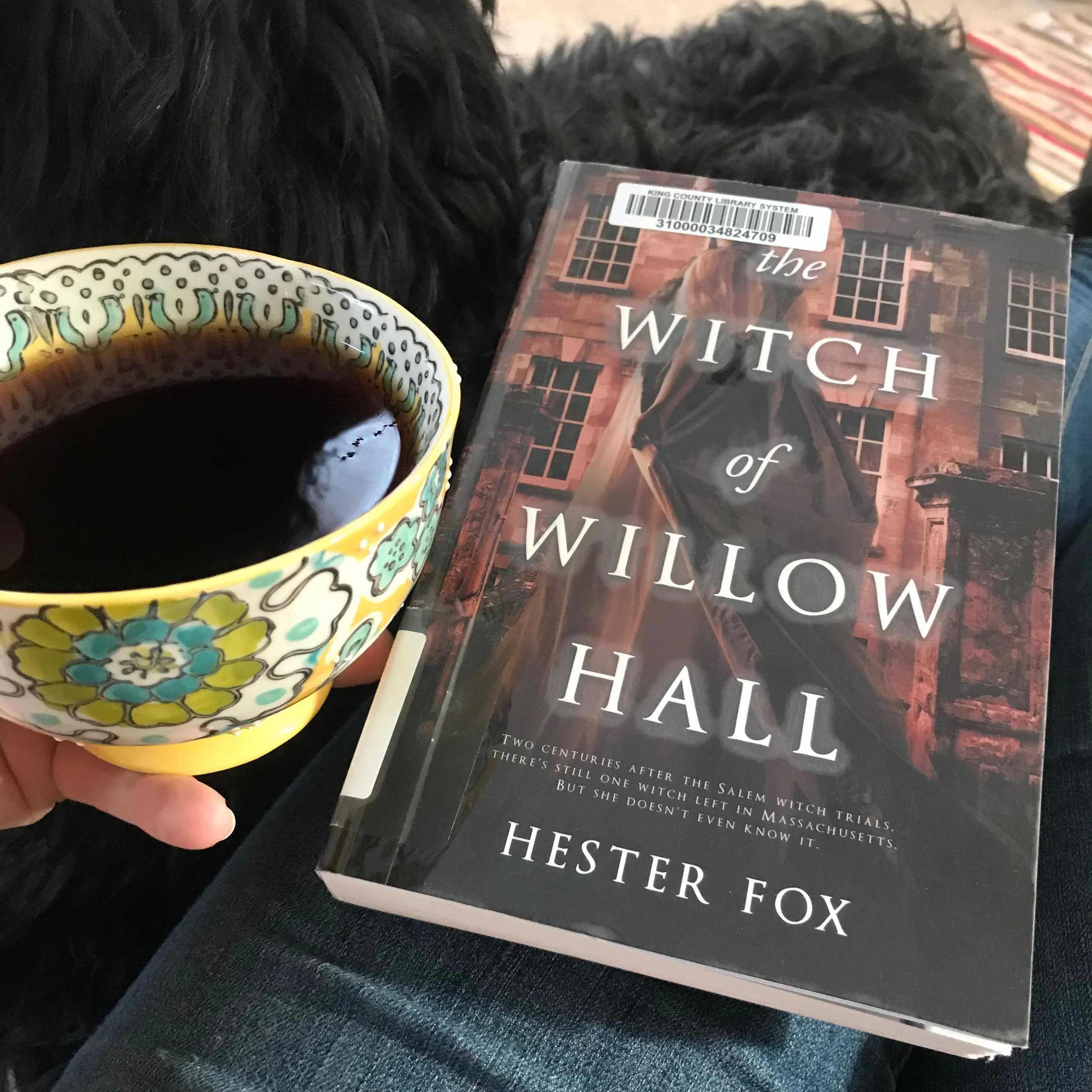 Book Review | "The Witch of Willow Hall" | Hester Fox