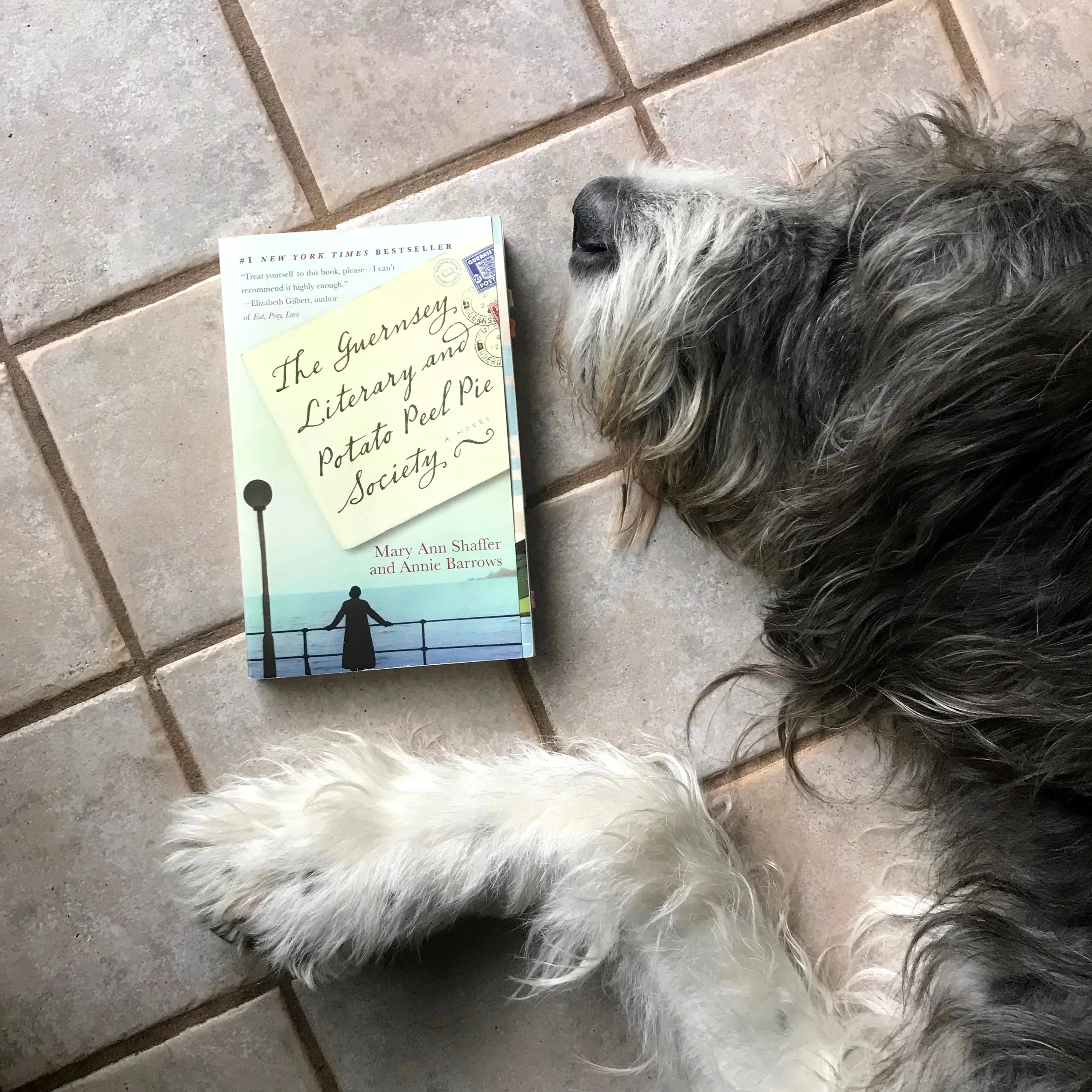 Book Review | "The Guernsey Literary and Potato Peel Pie Society" | By Annie Barrows and Mary Ann Shaffer