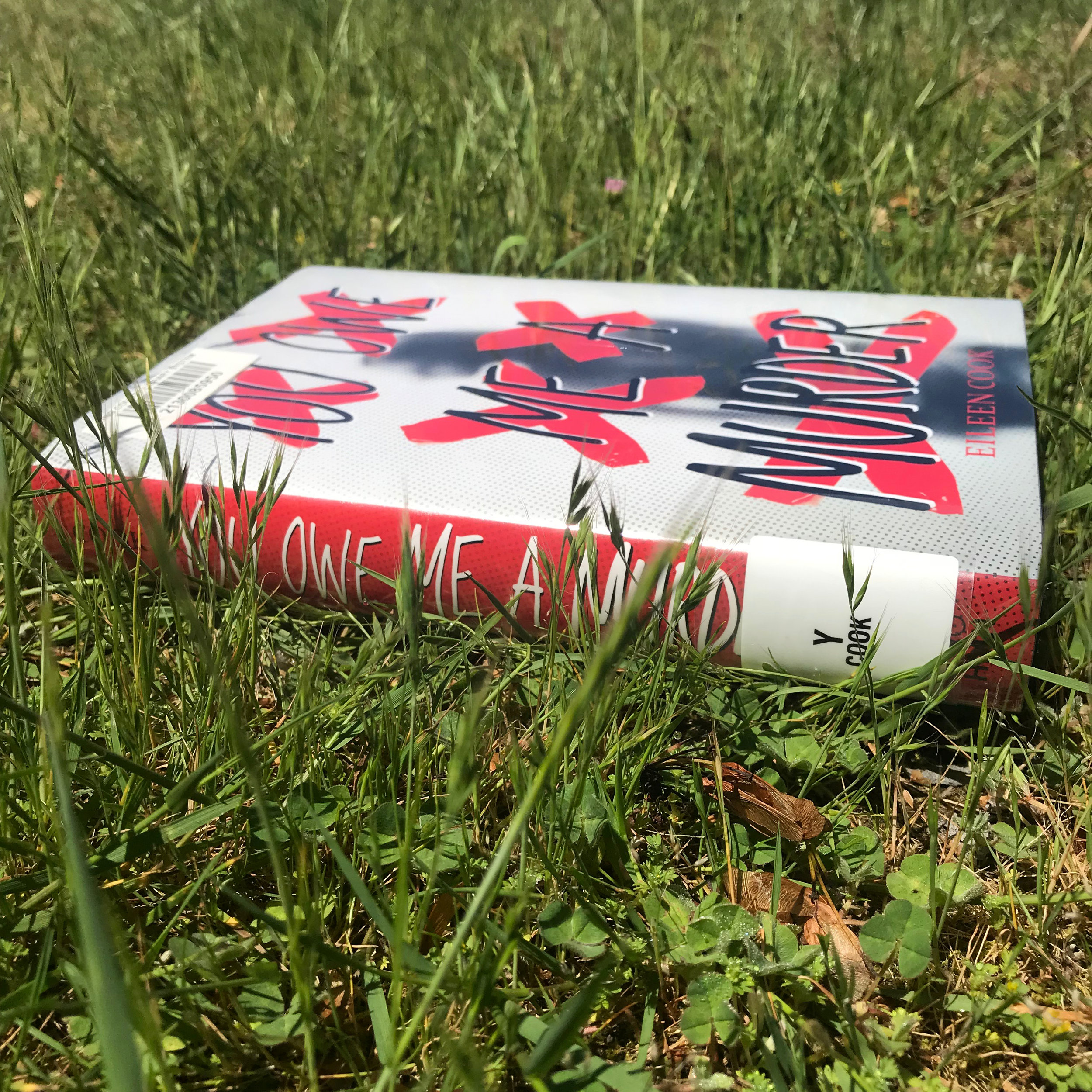Book Review | "You Owe Me A Murder" | Eileen Cook