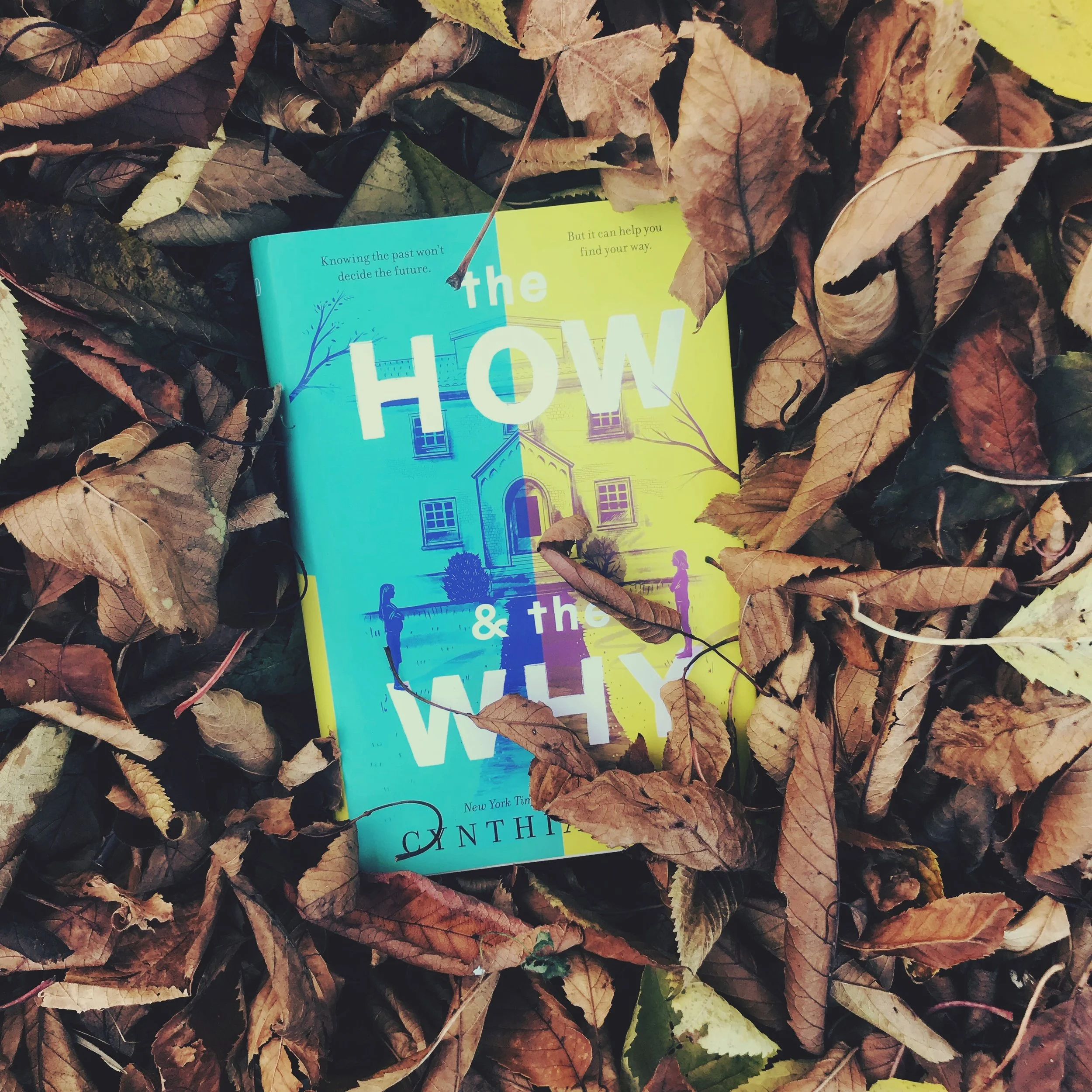 Book Review | "The How &amp; The Why" | Cynthia Hand