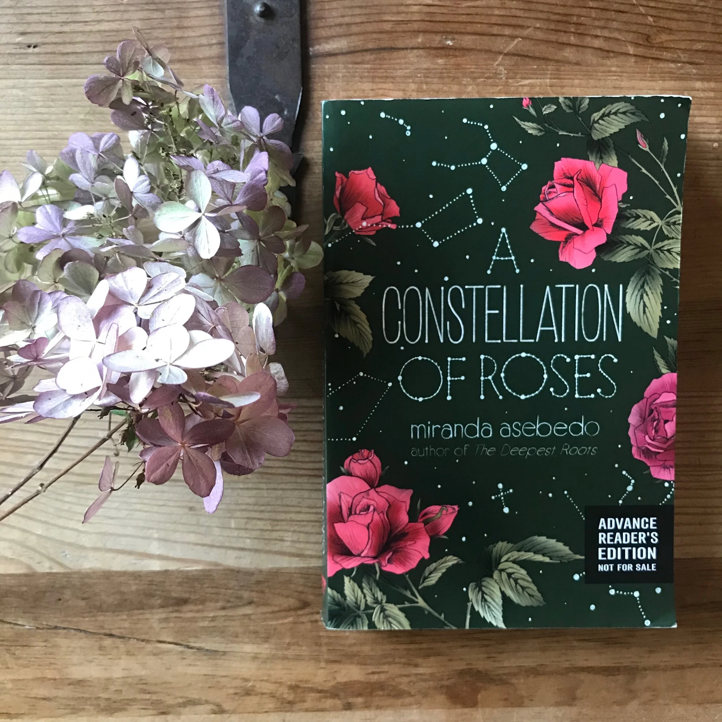 Book Review | "A Constellation of Roses" | Miranda Asebedo