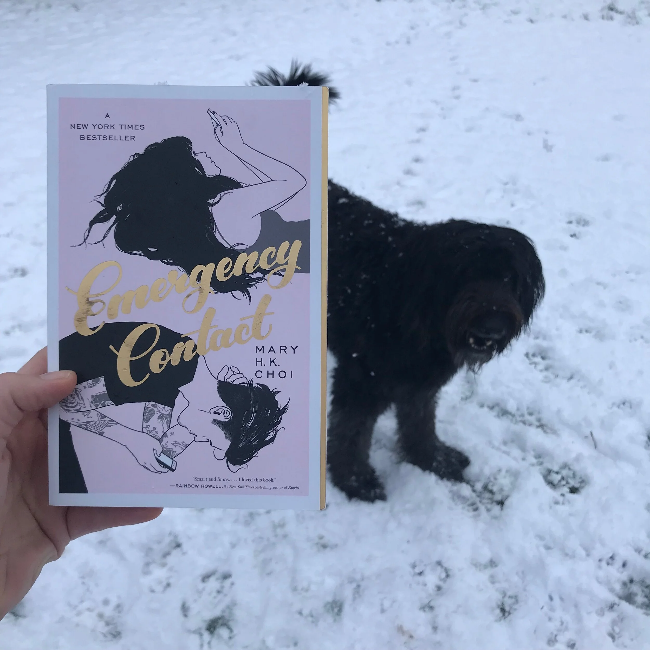 Book Review | "Emergency Contact" | Mary H. K. Choi