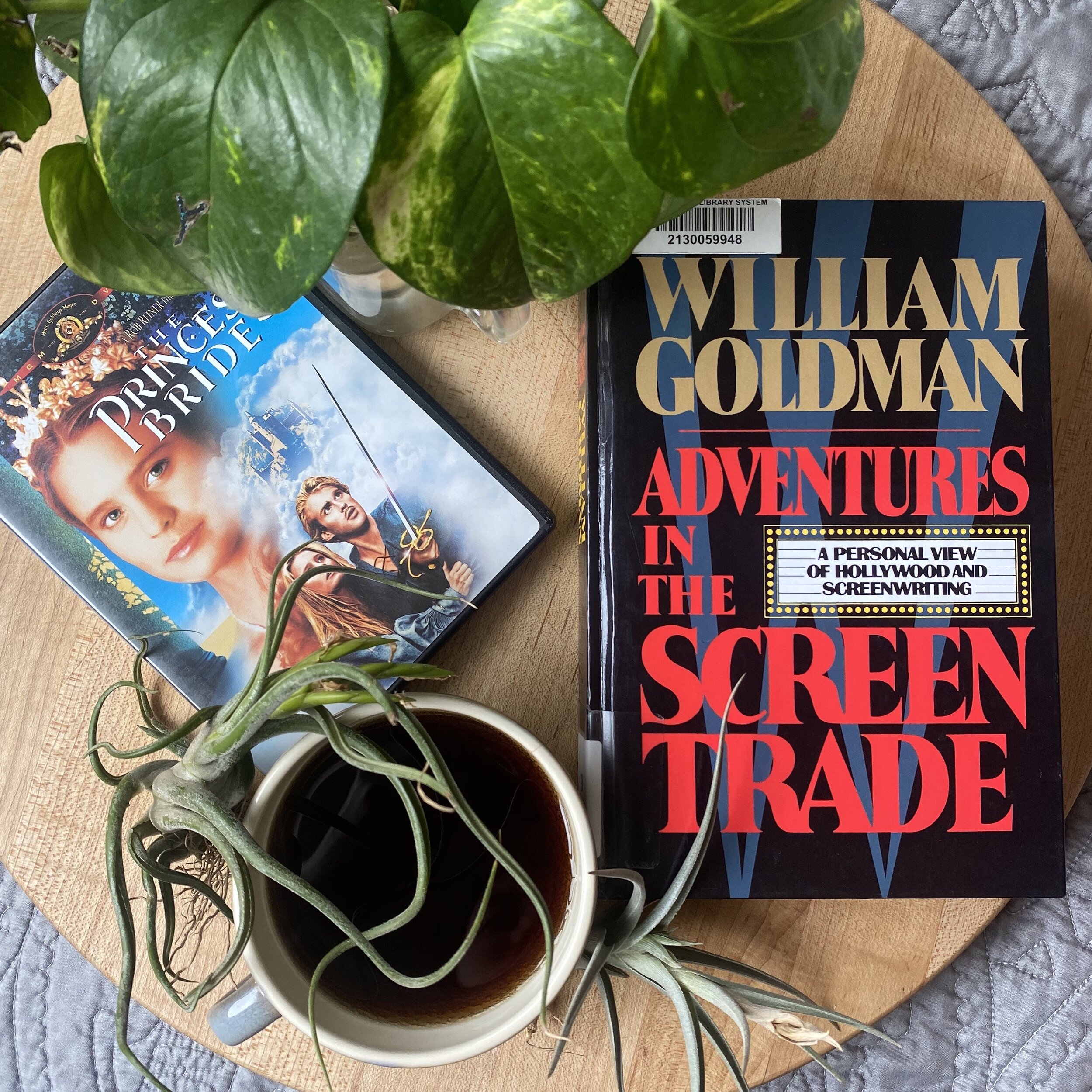 Book Review | Adventures in the Screen Trade