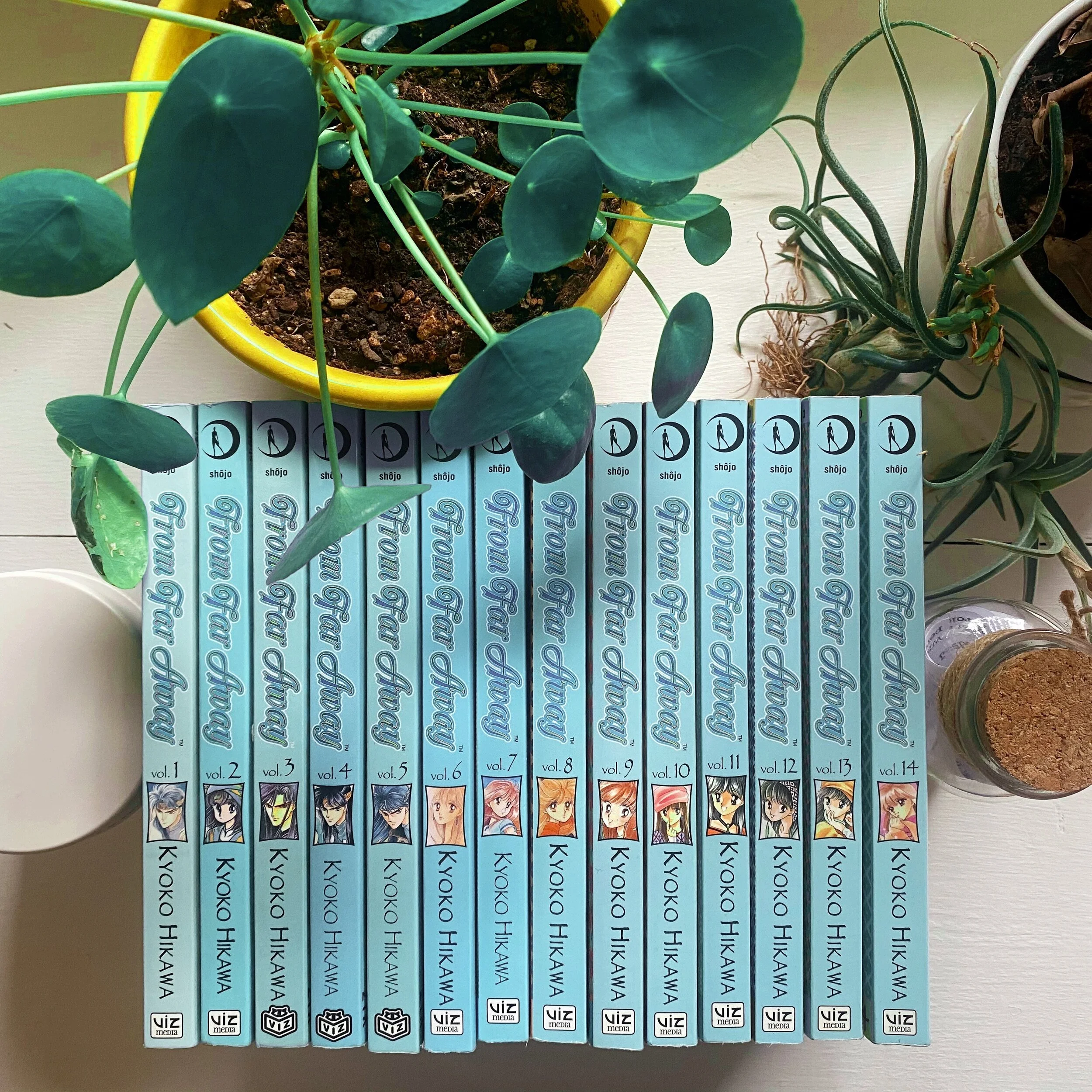 Book Review | From Far Away | Kyoko Hikawa 