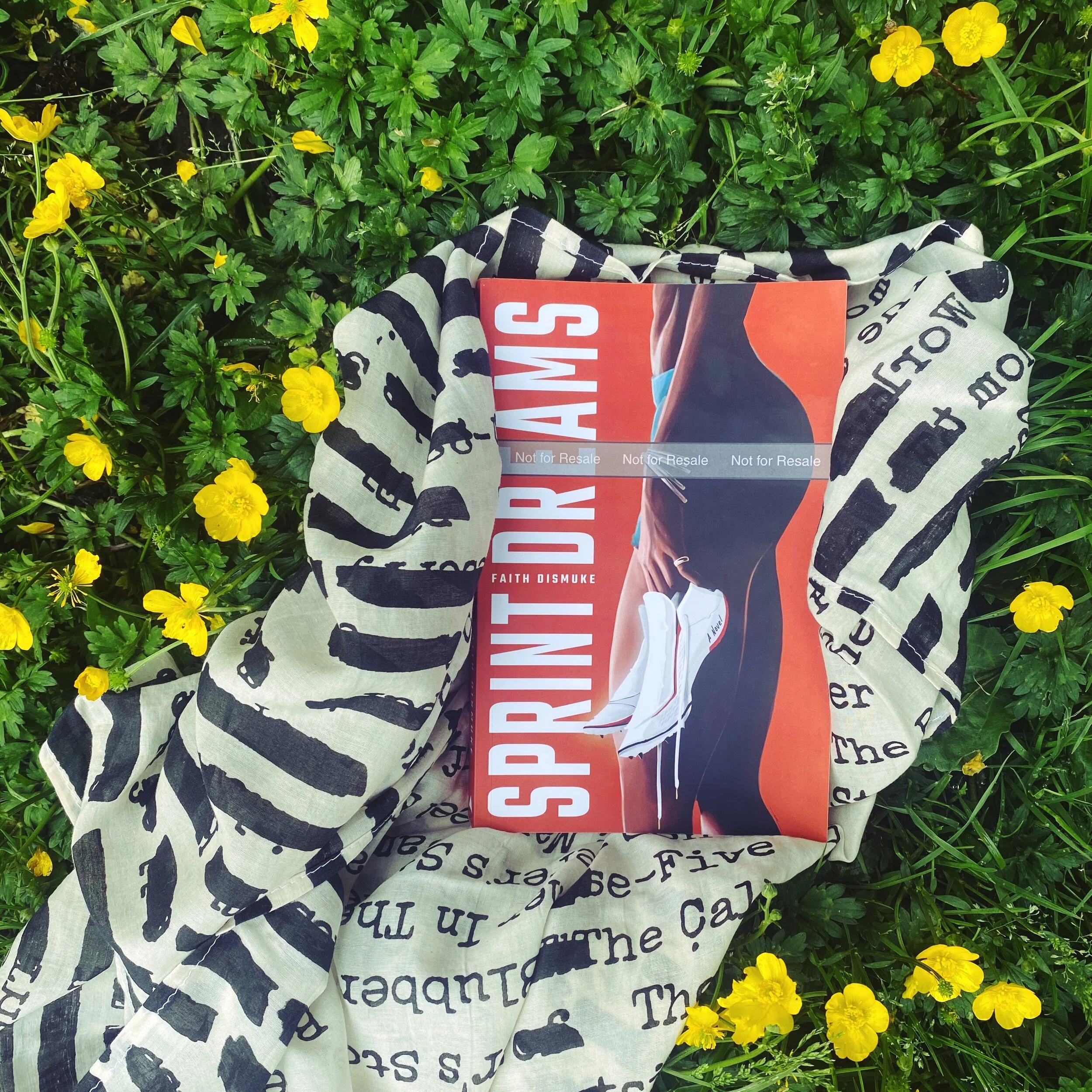 Book Review | Sprint Dreams | Faith Dismuke 