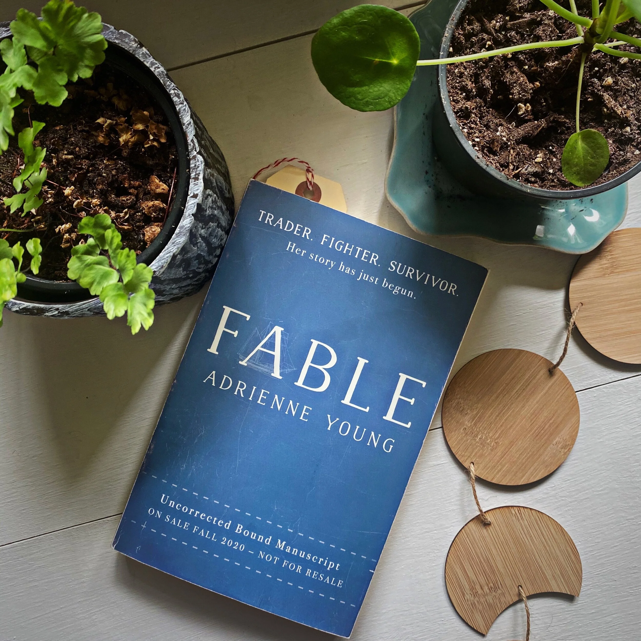Book Review | Fable | Adrienne Young