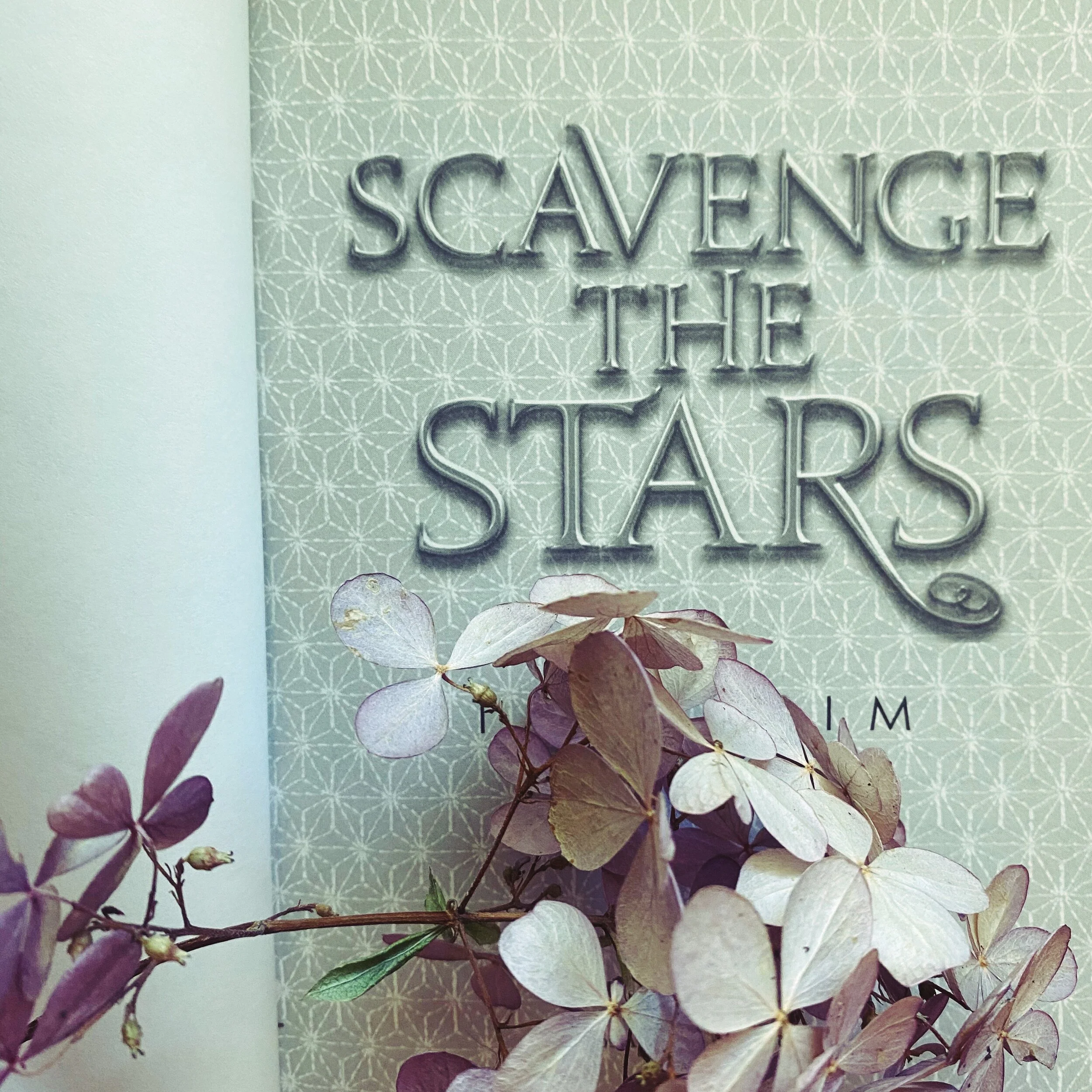 Book Review | Scavenge the Stars | Tara Sims