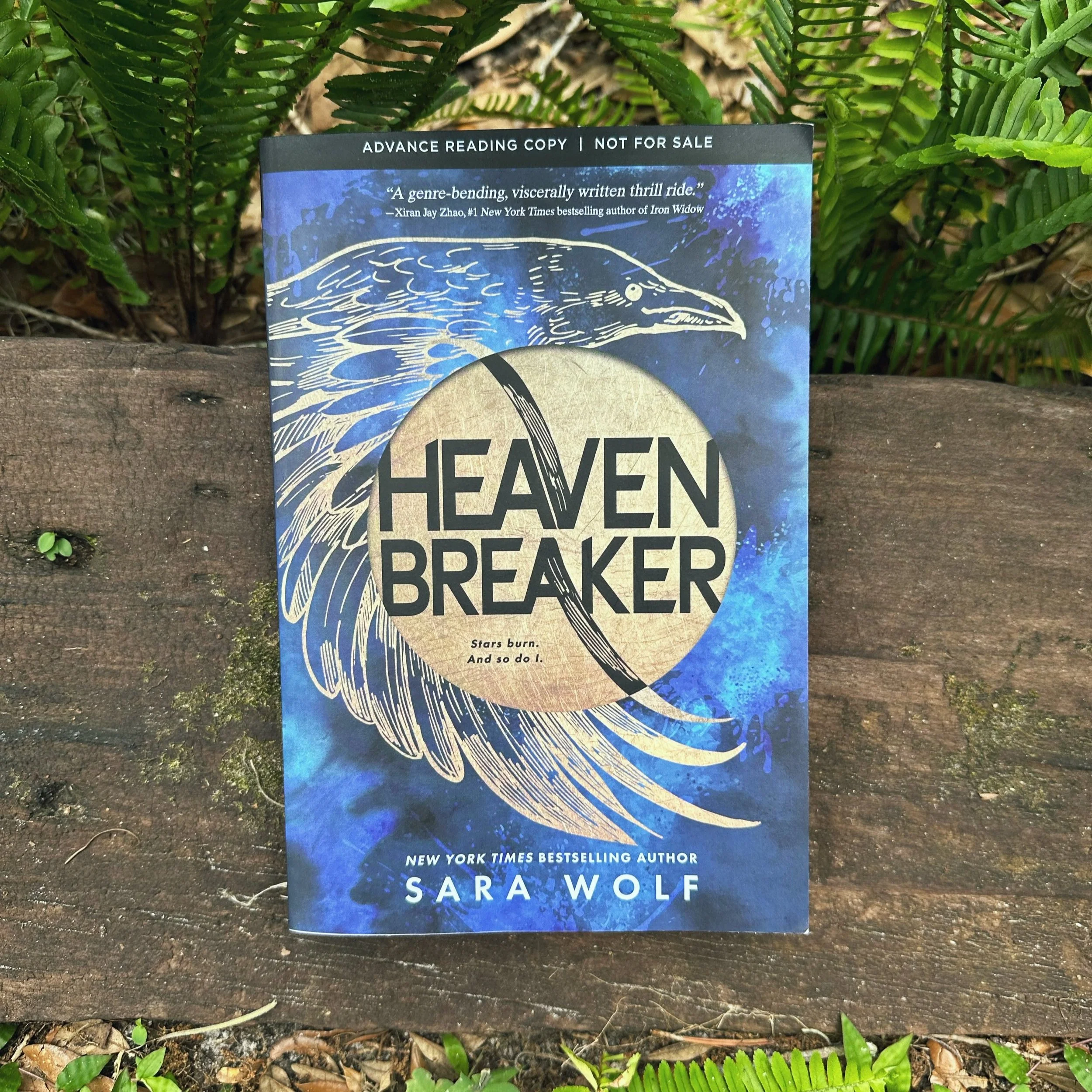 Book Review | Heavenbreaker | Sara Wolf  