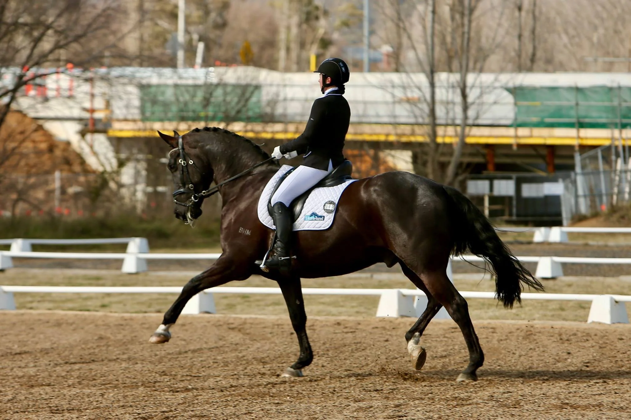 bhm-showjump-2.jpg