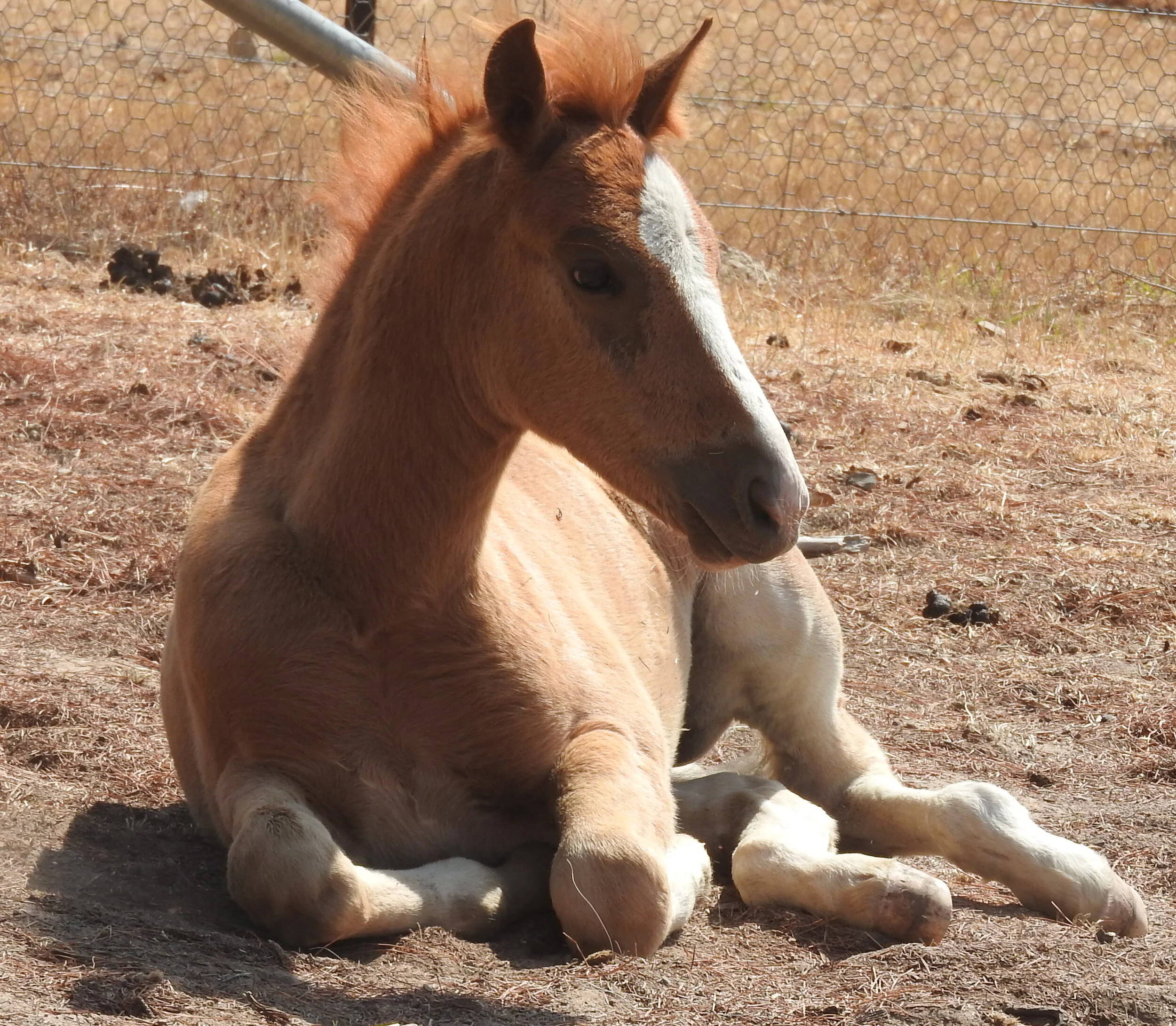 DSCN1507.JPG