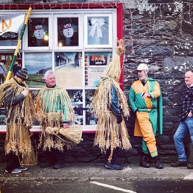#wren day #dinglepeninsula