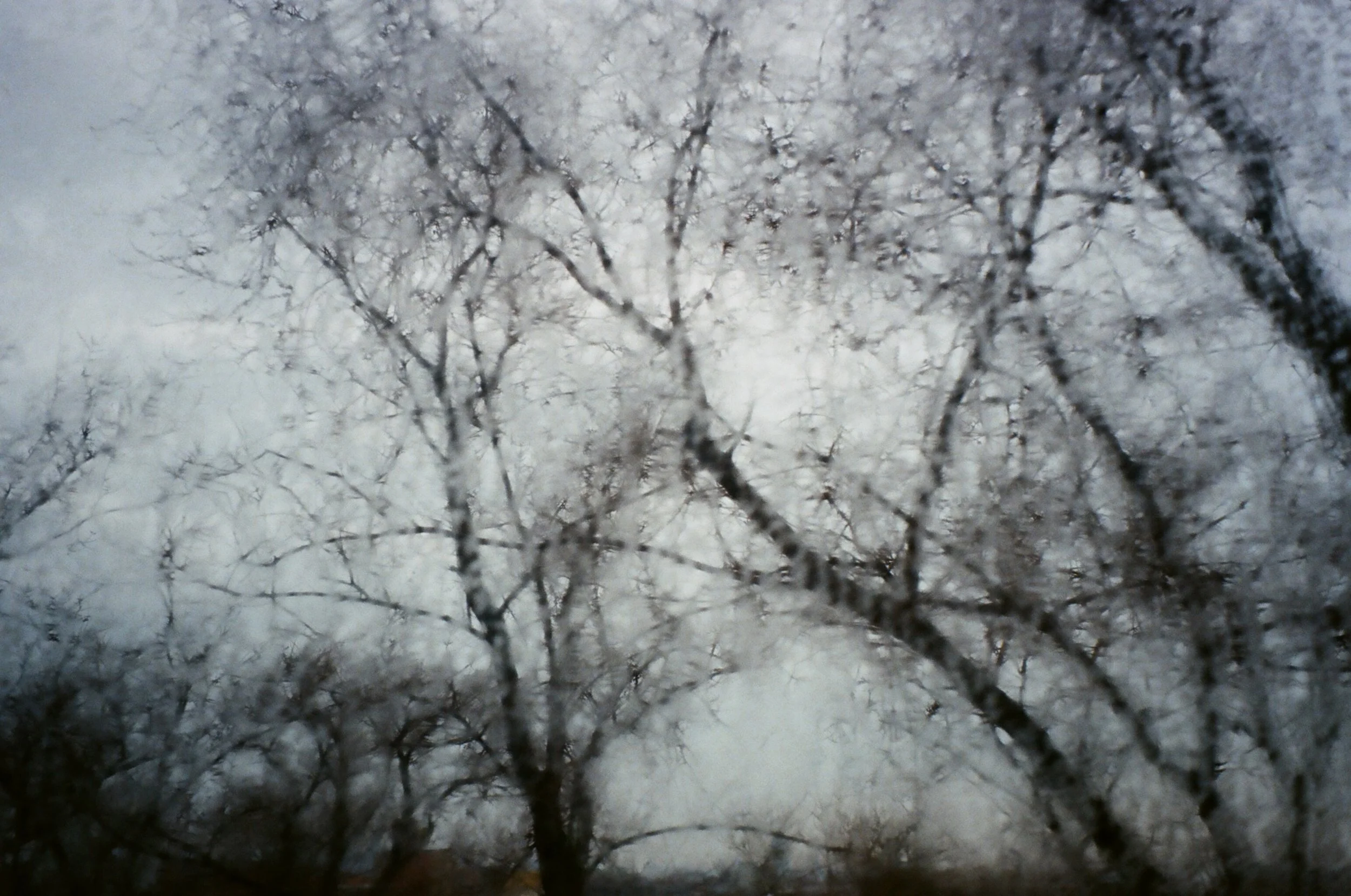 42530027.JPG
