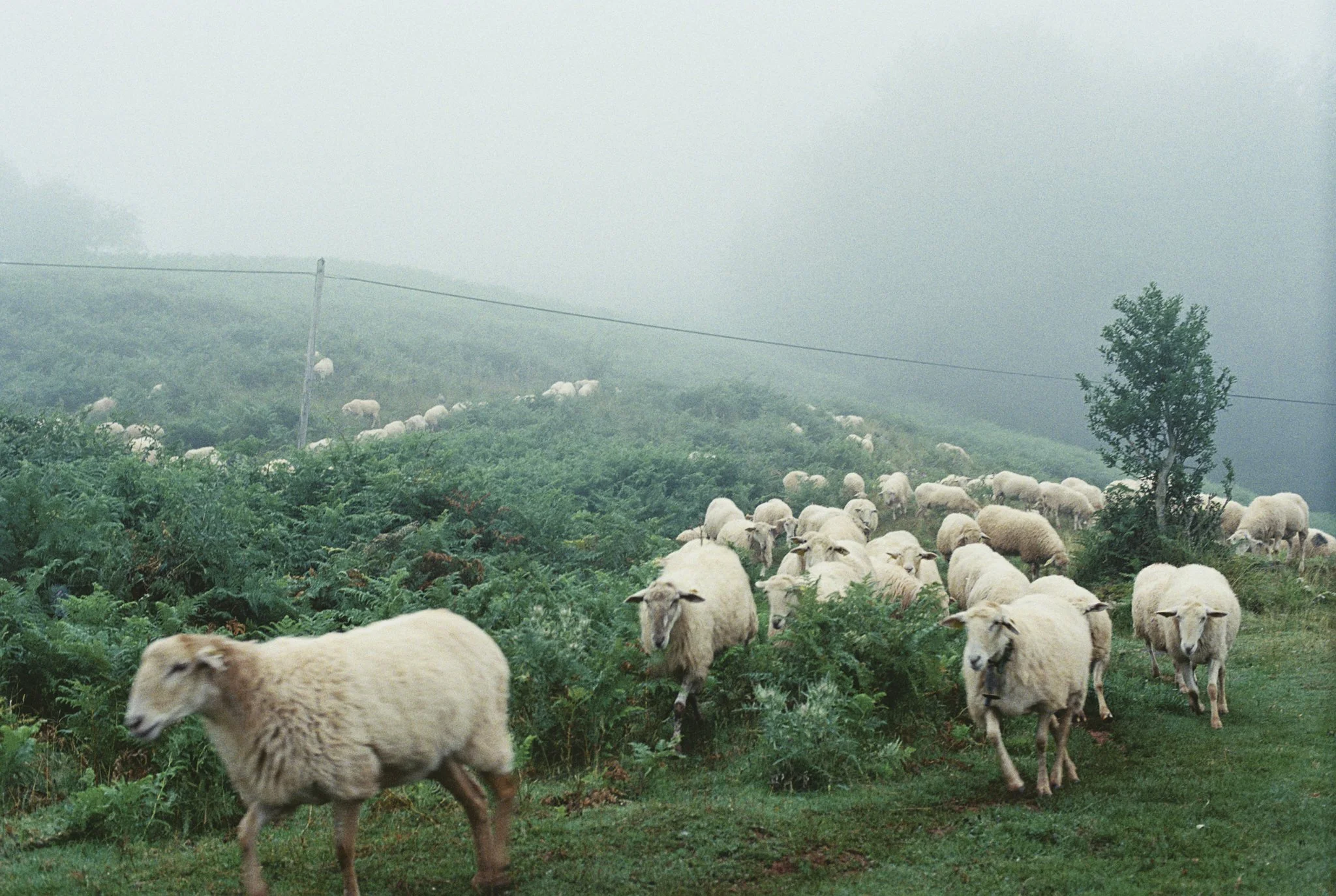 c002.jpg