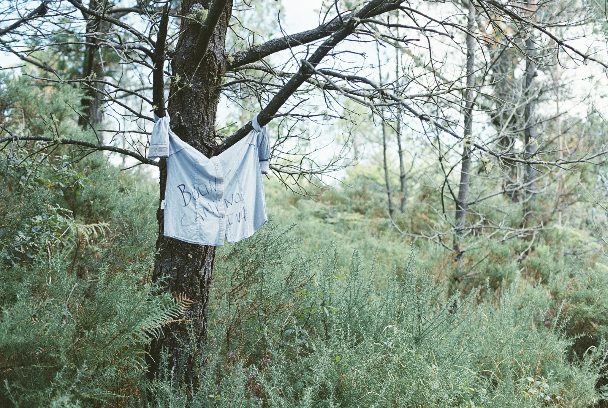 c016.jpg