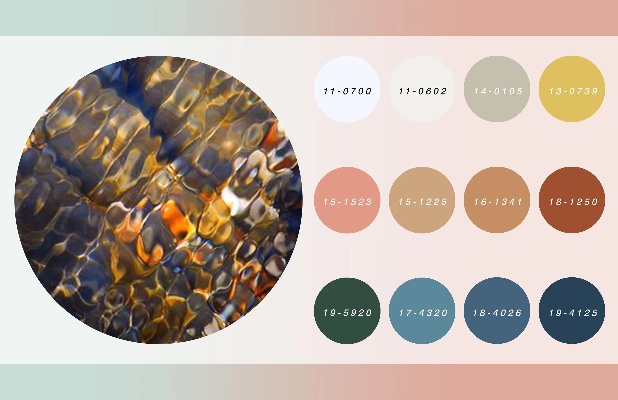 colorpalette2.jpg