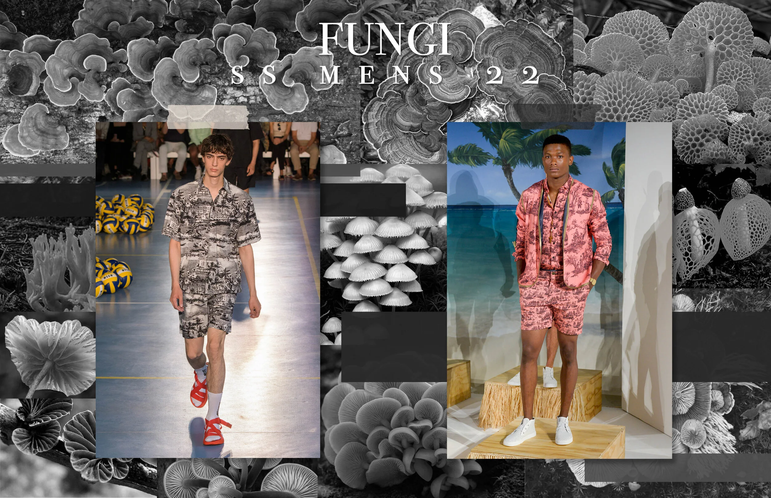 presentation ind.jpg