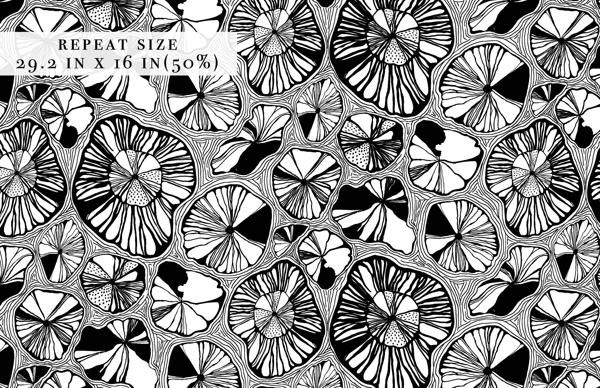 presentation ind5.jpg