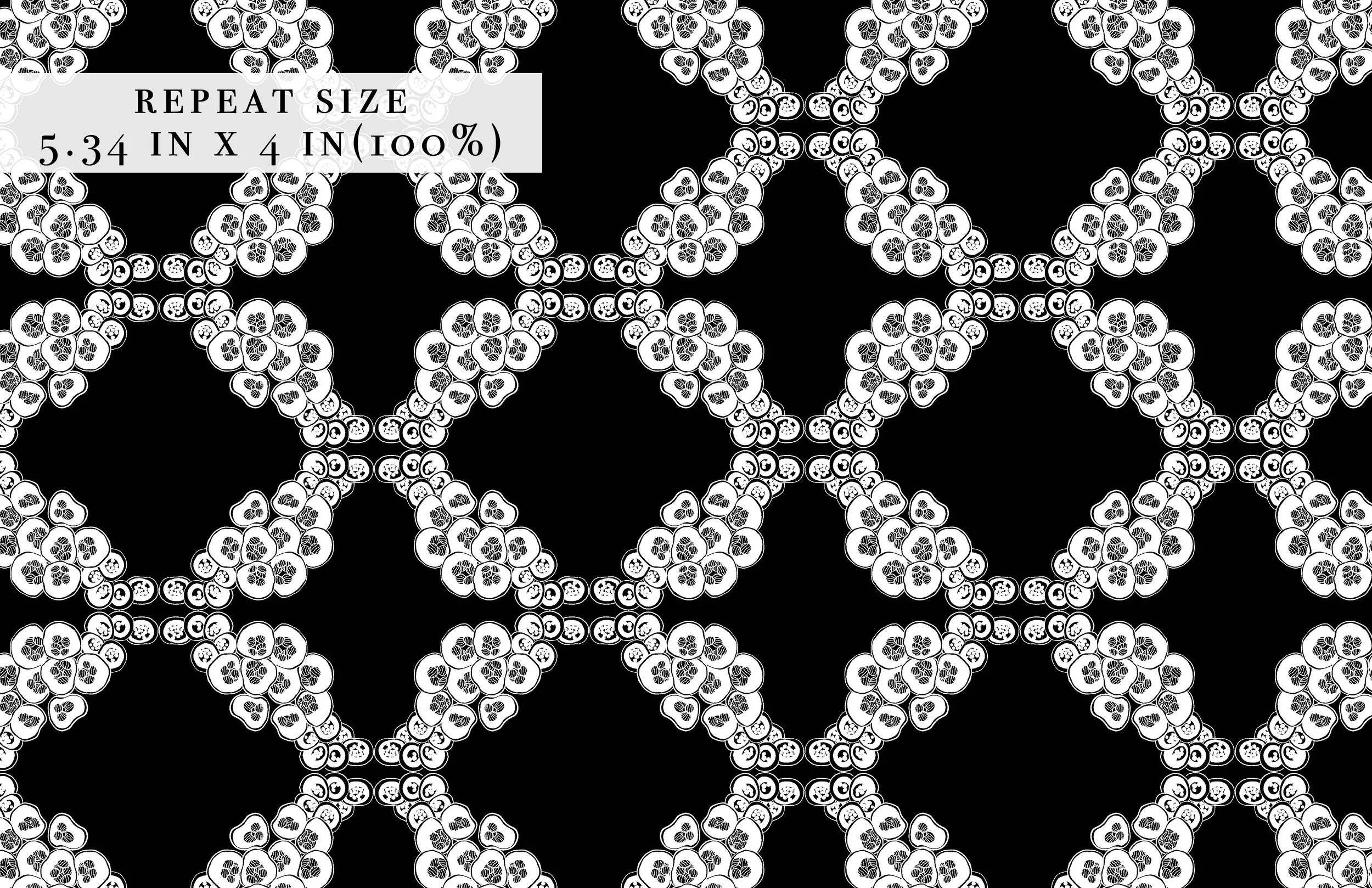 presentation ind6.jpg