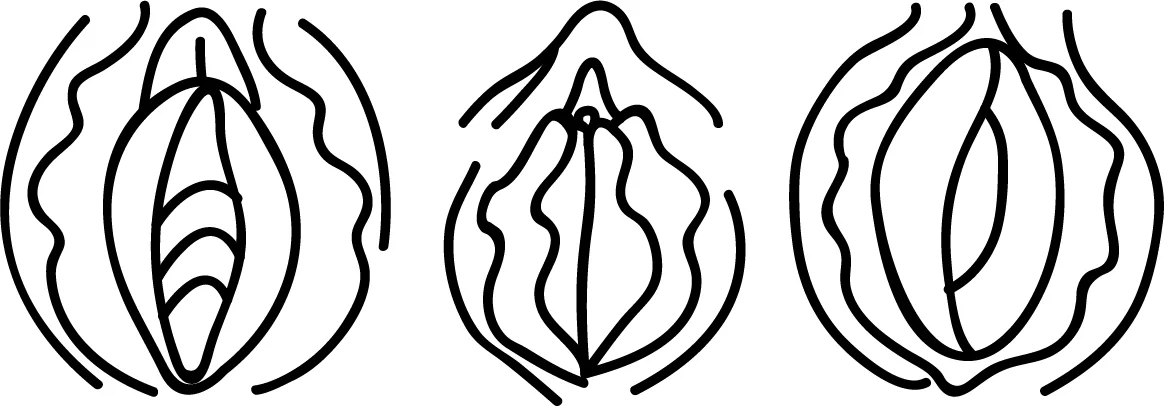 vagina1.3.jpg