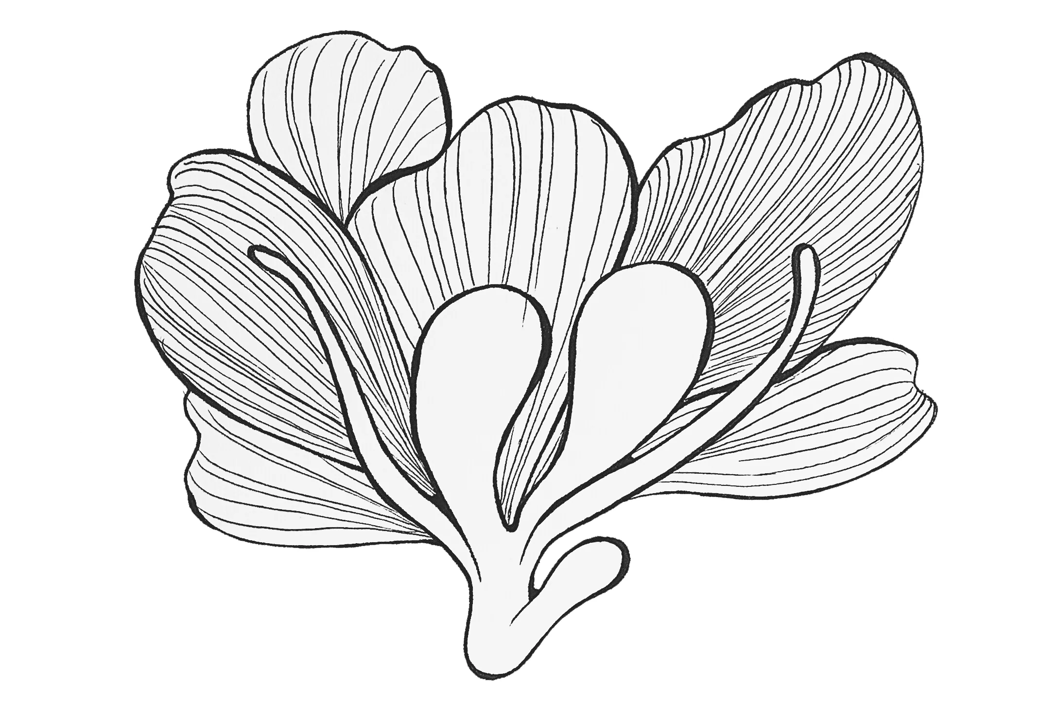 File_000-2blank.jpg
