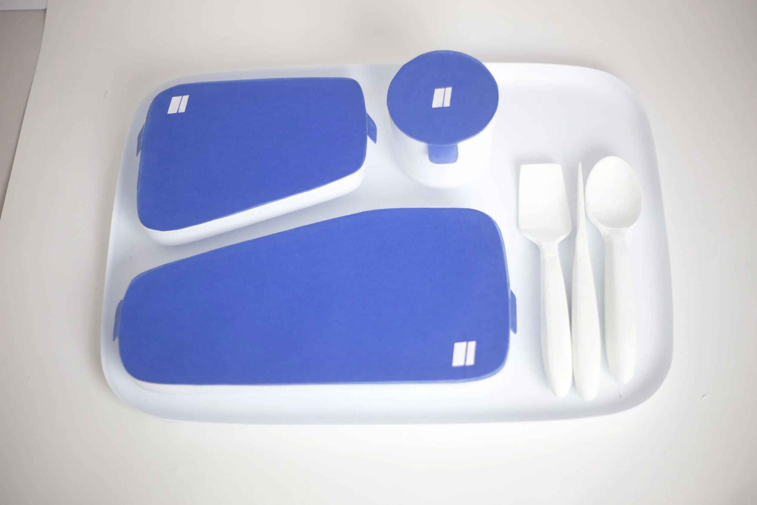 thermoformed tray & utensil prototypes